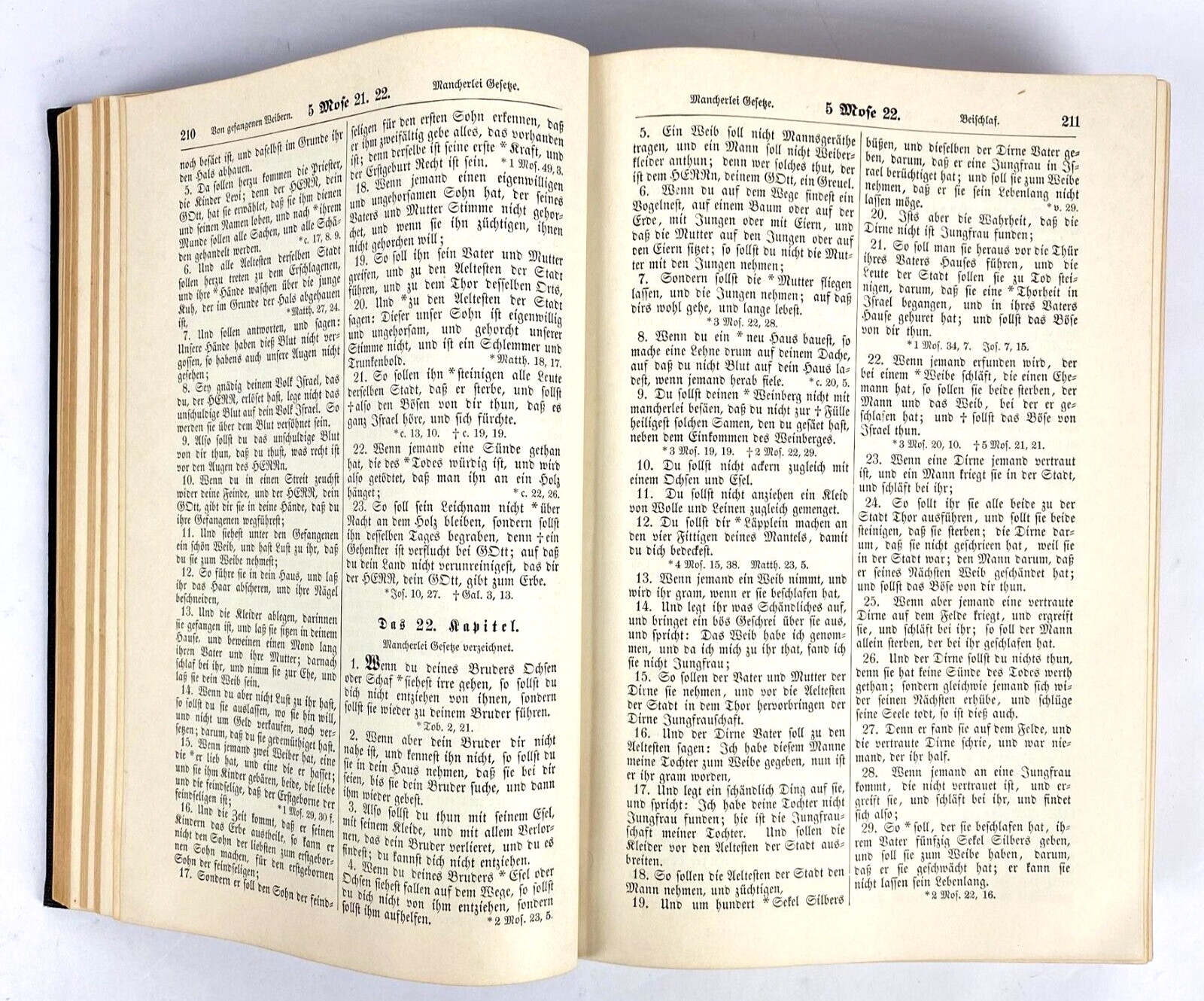 Dr. Martin Luthers German Bible Die Bibel Heilige Schrift Vintage