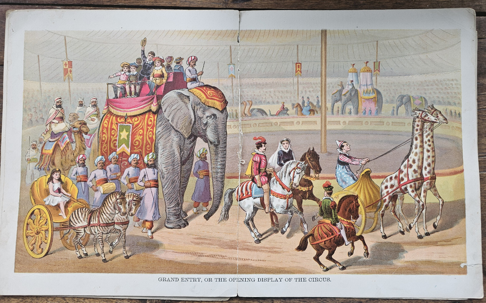 1887 CHROMOS. RARE large softcover: A Peep at the Circus McLoughlin Brothers