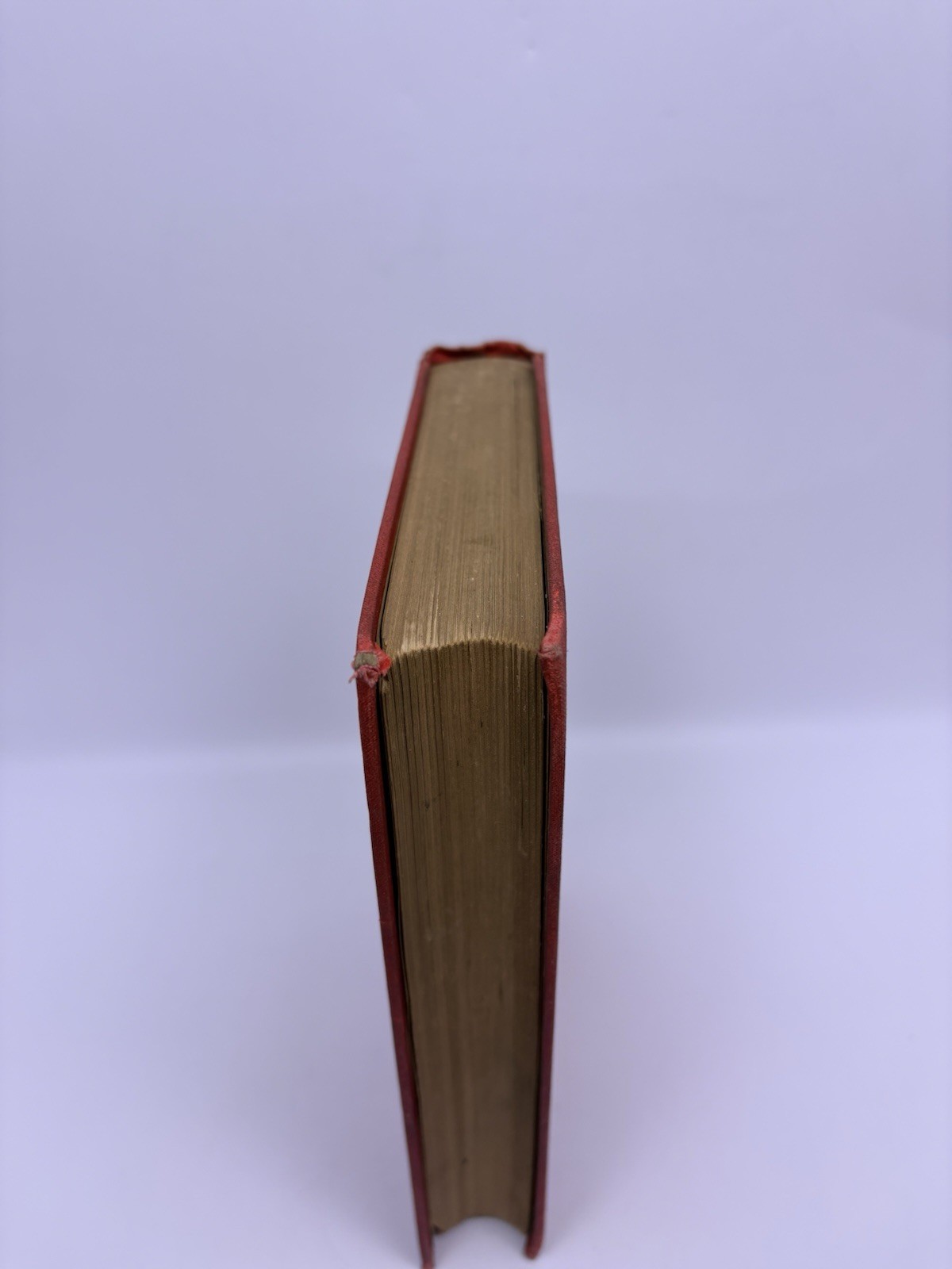 Green Pastures And Paccadilly William Black John W. Lovell Company NY Hardcover