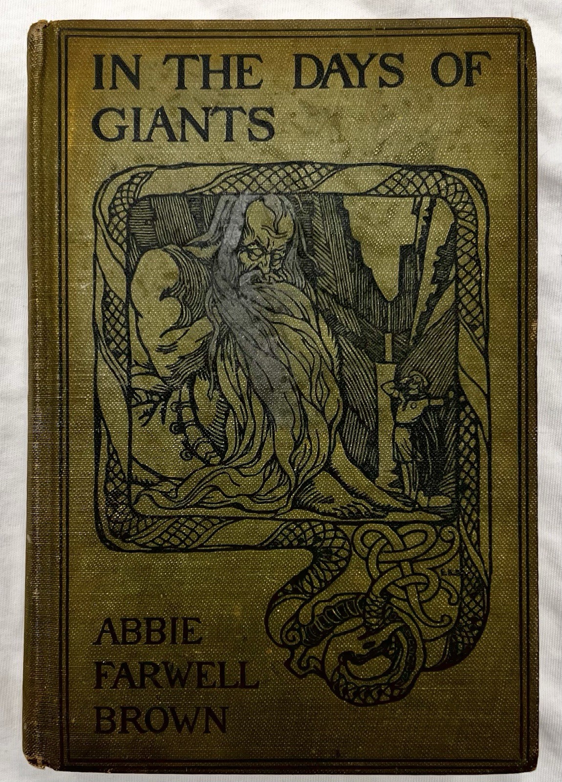 In the Days of Giants – Abbie Farwell Brown – 1st Ed 1902 HC Illus E. Boyd Smith