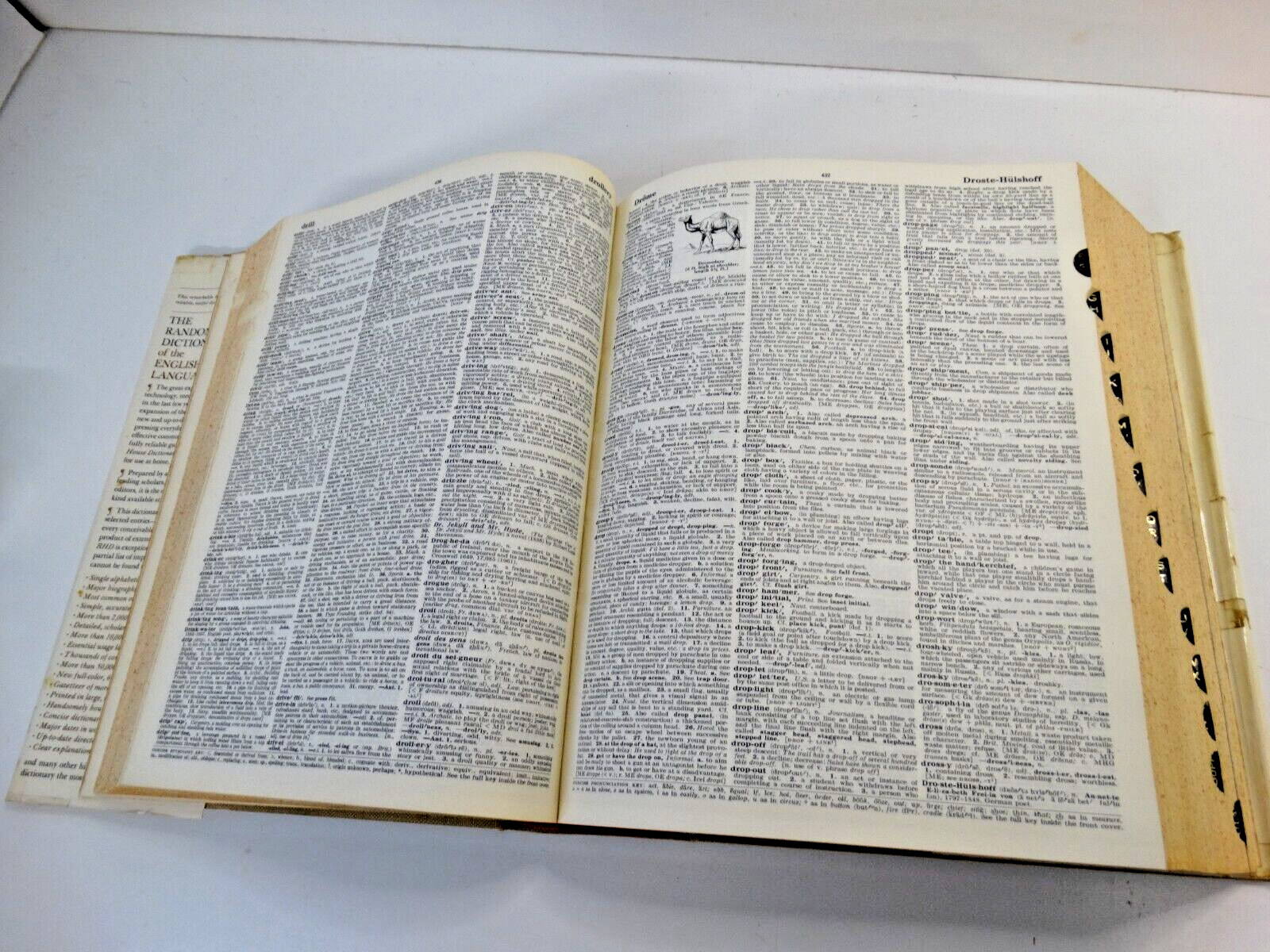 The Random House Dictionary , Unabridged, 1967 with Dust Jacket