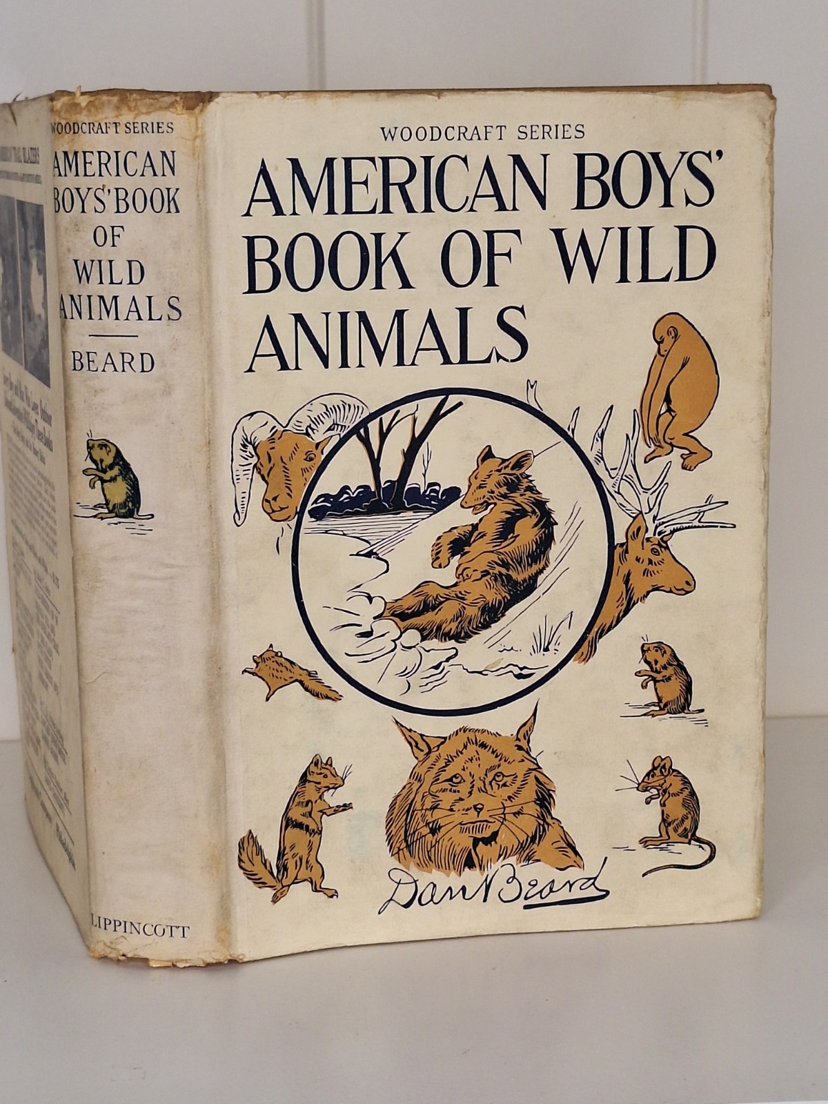 American Boys’ Book of Wild Animals (Woodcraft Series) 1921