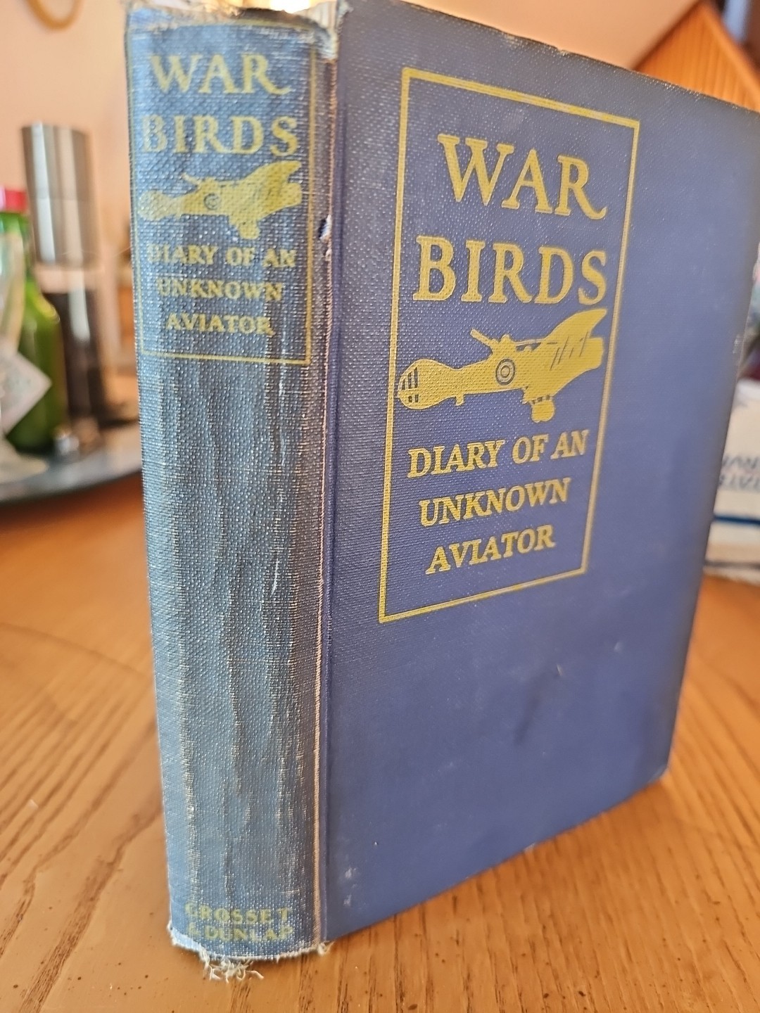 War Birds – 1926 – Diary of an Unknown Aviator – George H Doran Company
