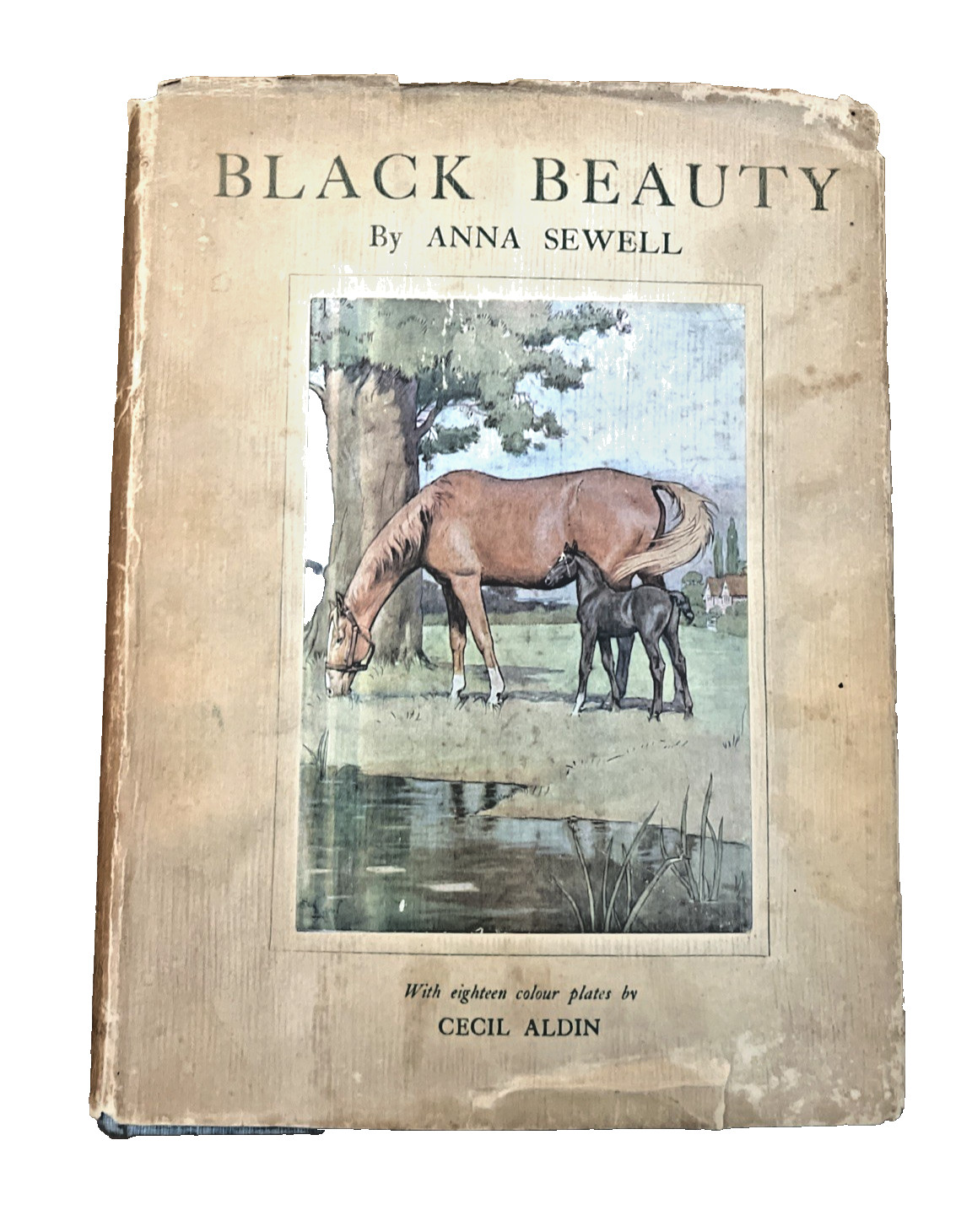 BLACK BEAUTY – ANNA SEWELL – ILLUS 18 COLOUR PLATES BY CECIL ALDIN in rare DJ