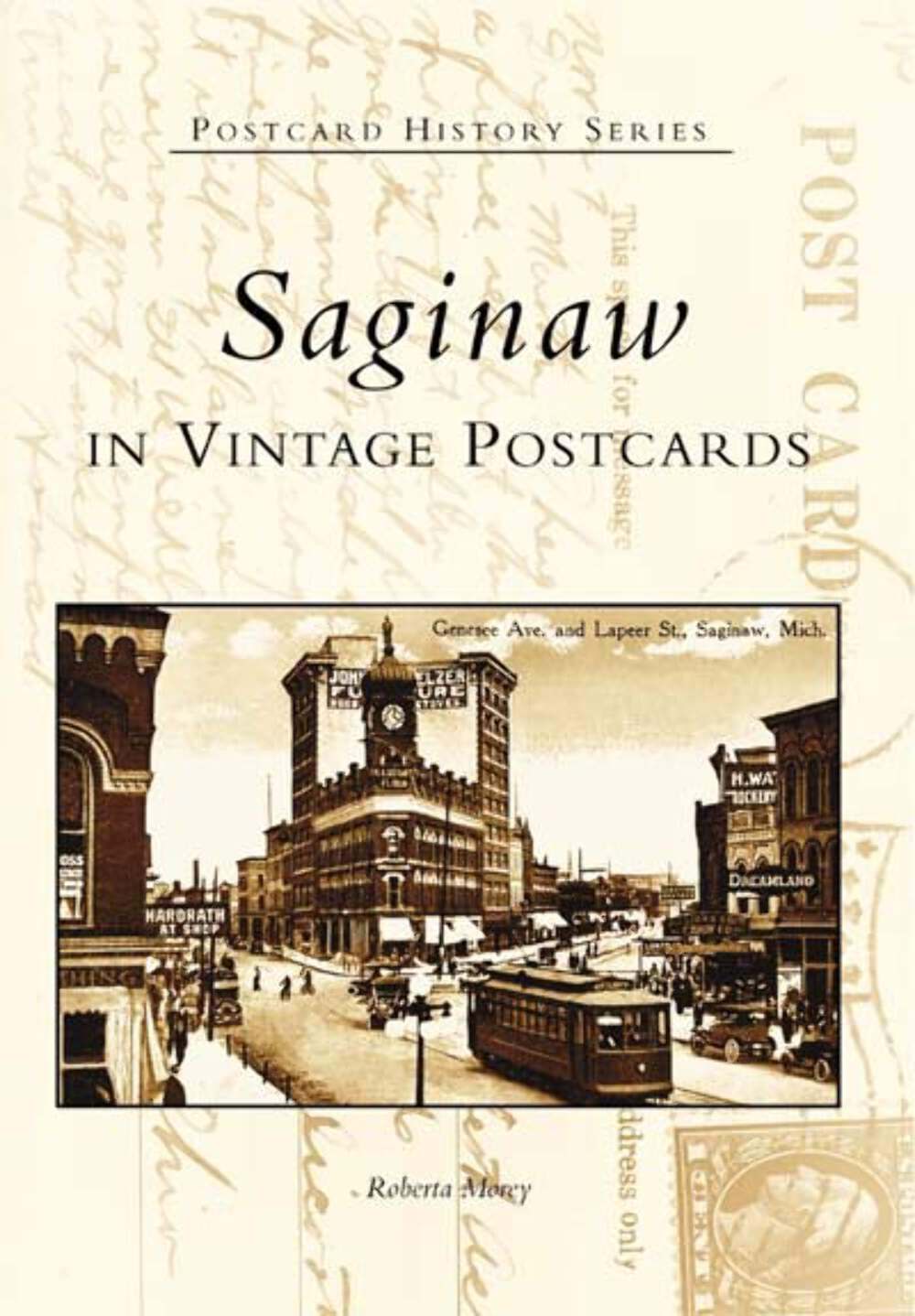 NEW Arcadia Publishing Saginaw in Vintage Postcards, MI 9780738532936 Postcard H