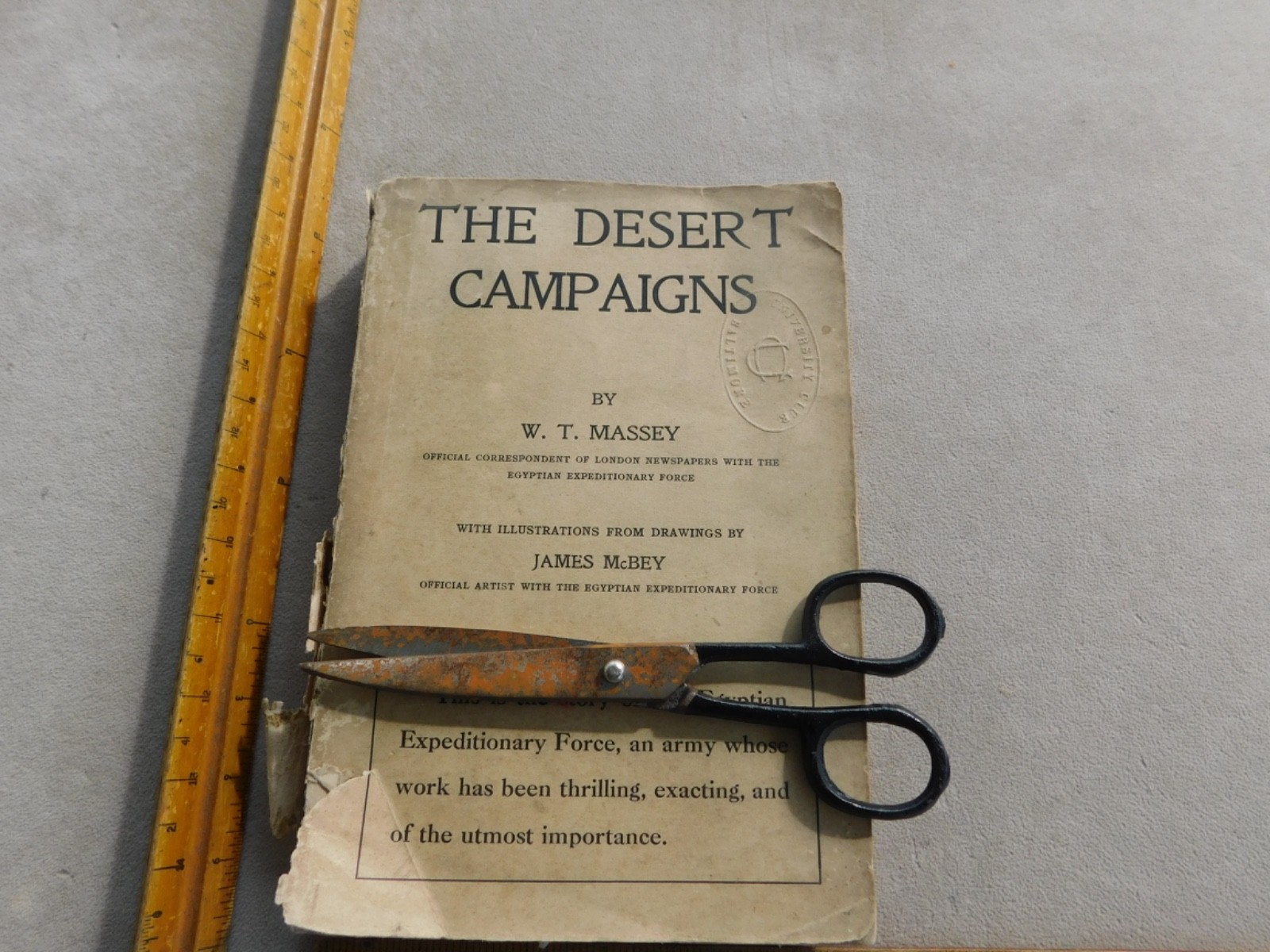 WWI Egypt THE DESERT CAMPAIGNS W. T. MASSEY SC Book Iraq Iran Persia Arab Revolt