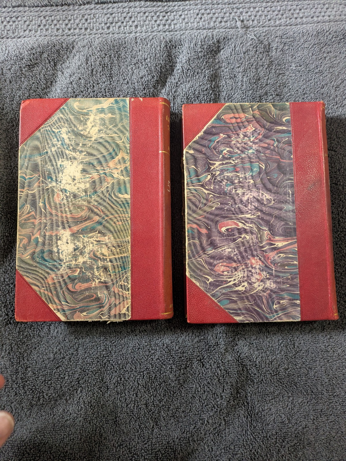 Charles Darwin 2 Volume set 1896 ORIGIN OF SPECIES 1 & 2 Luxury Edition Antique