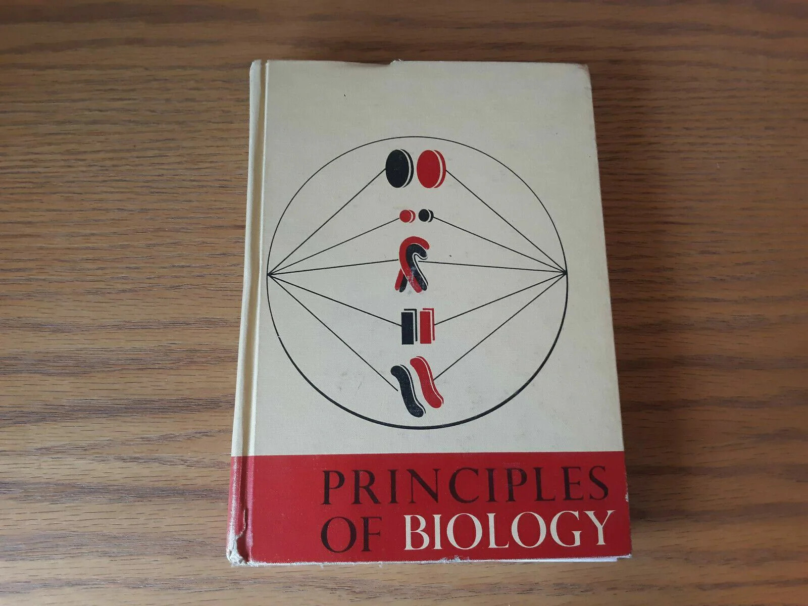 Principles Of Biology (Biological Science Series) Buffaloe, Neal Dollison 1962