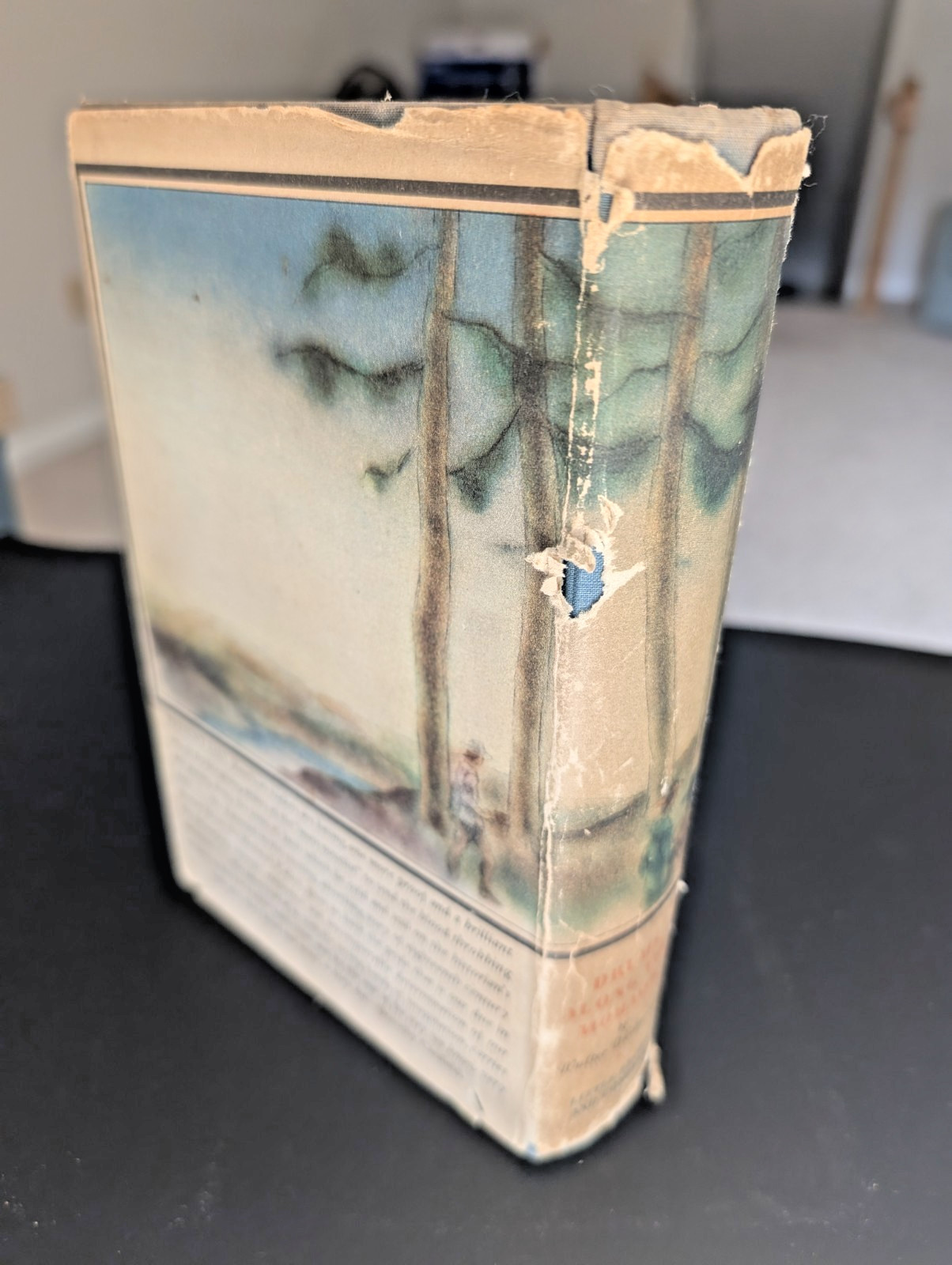 Drums Along The Mohawk 1st Edition 1936 Walter D Edmonds HC Book w/ Dust Jacket