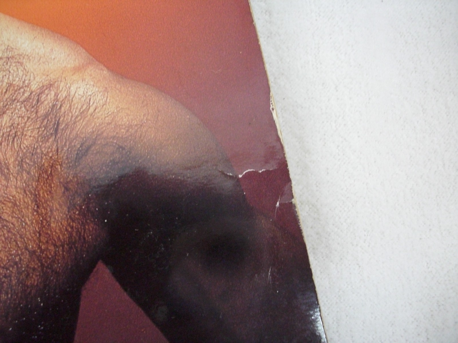 Gay Male Nudes Colt Studio 1993 The Hairy Chested Man Magazine #17