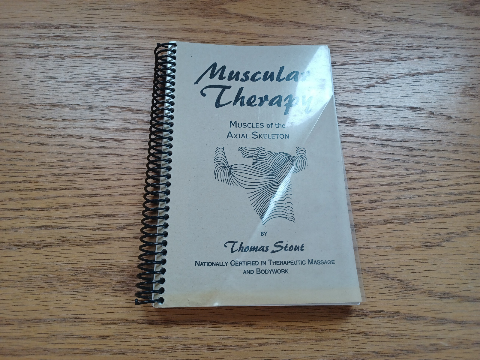 Muscular Therapy Thomas Stout Muscles Of The Axial Skeleton 1998
