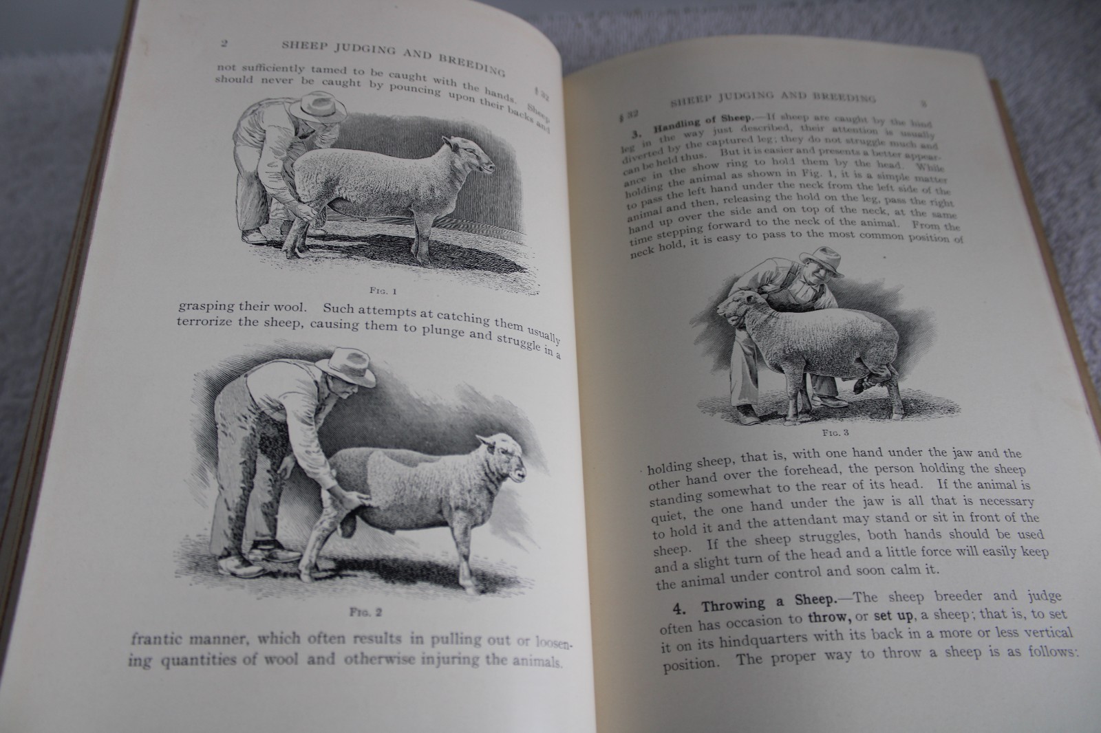 I.C.S. Reference Libray Swine, Sheep, Horses, Mules, Ponies, Asses 1912 HC illus