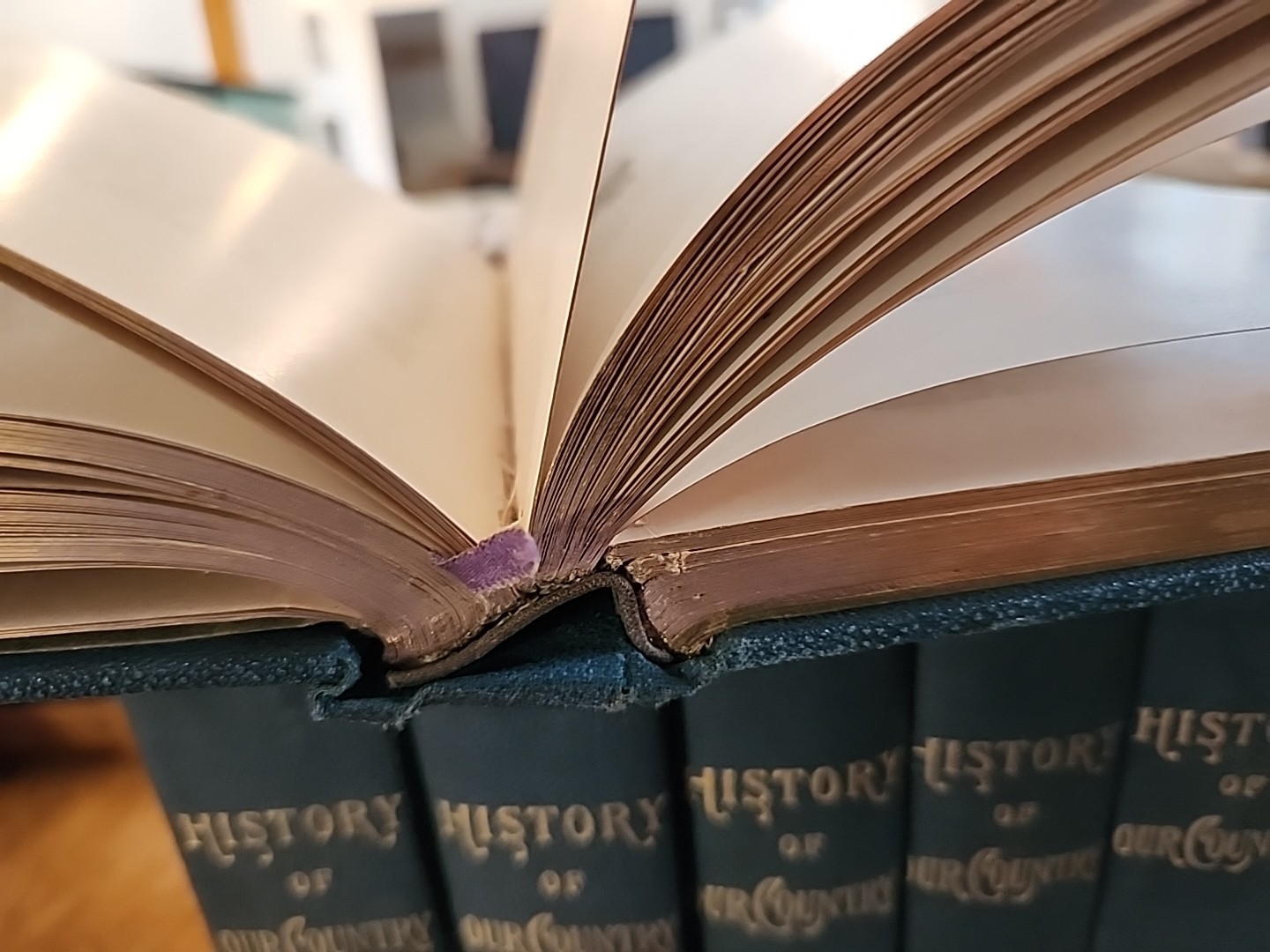THE HISTORY OF OUR COUNTRY, 1905 Edward Ellis, Limited Edition de Luxe, 8 Vols