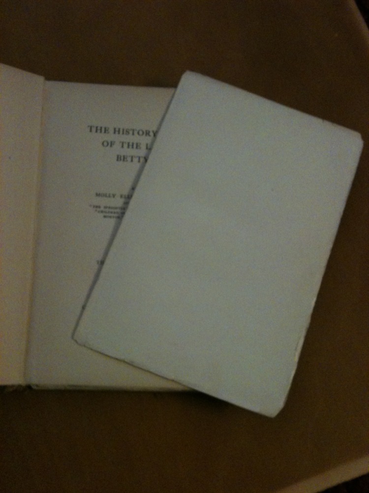 The History of the Lady Betty Stair By Molly Elliot Seawell From 1897