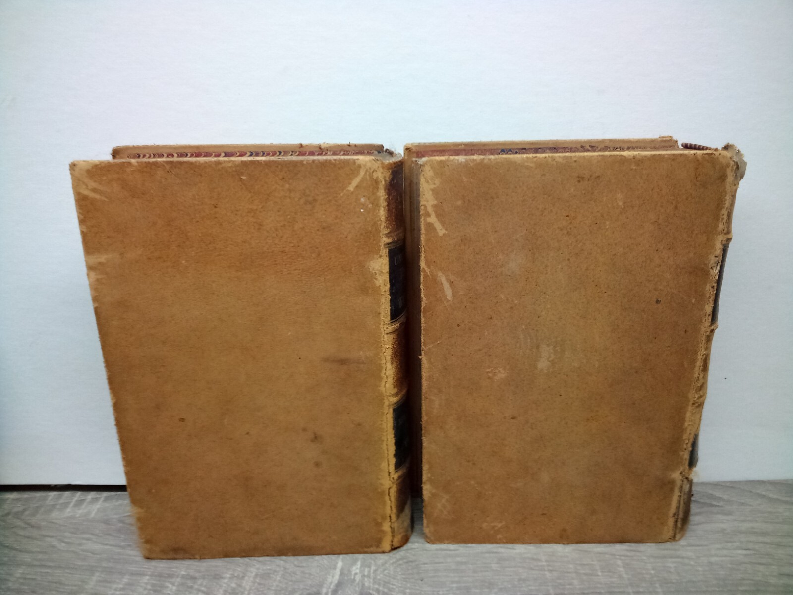 Controversial 1877 Uncivilized Races of Men in All Countries vol 1&2 Rev JG Wood