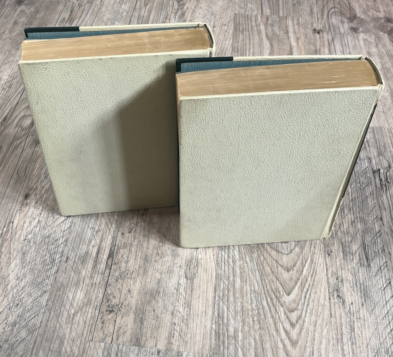 VTG 1966 World Book Encyc Dictionary Complete Set Volume 1 &2 Thorndike-Barnhart