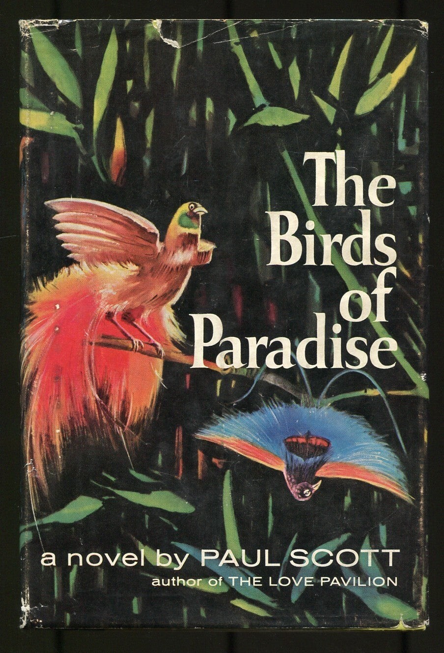 Paul SCOTT / The Birds of Paradise 1st Edition 1962