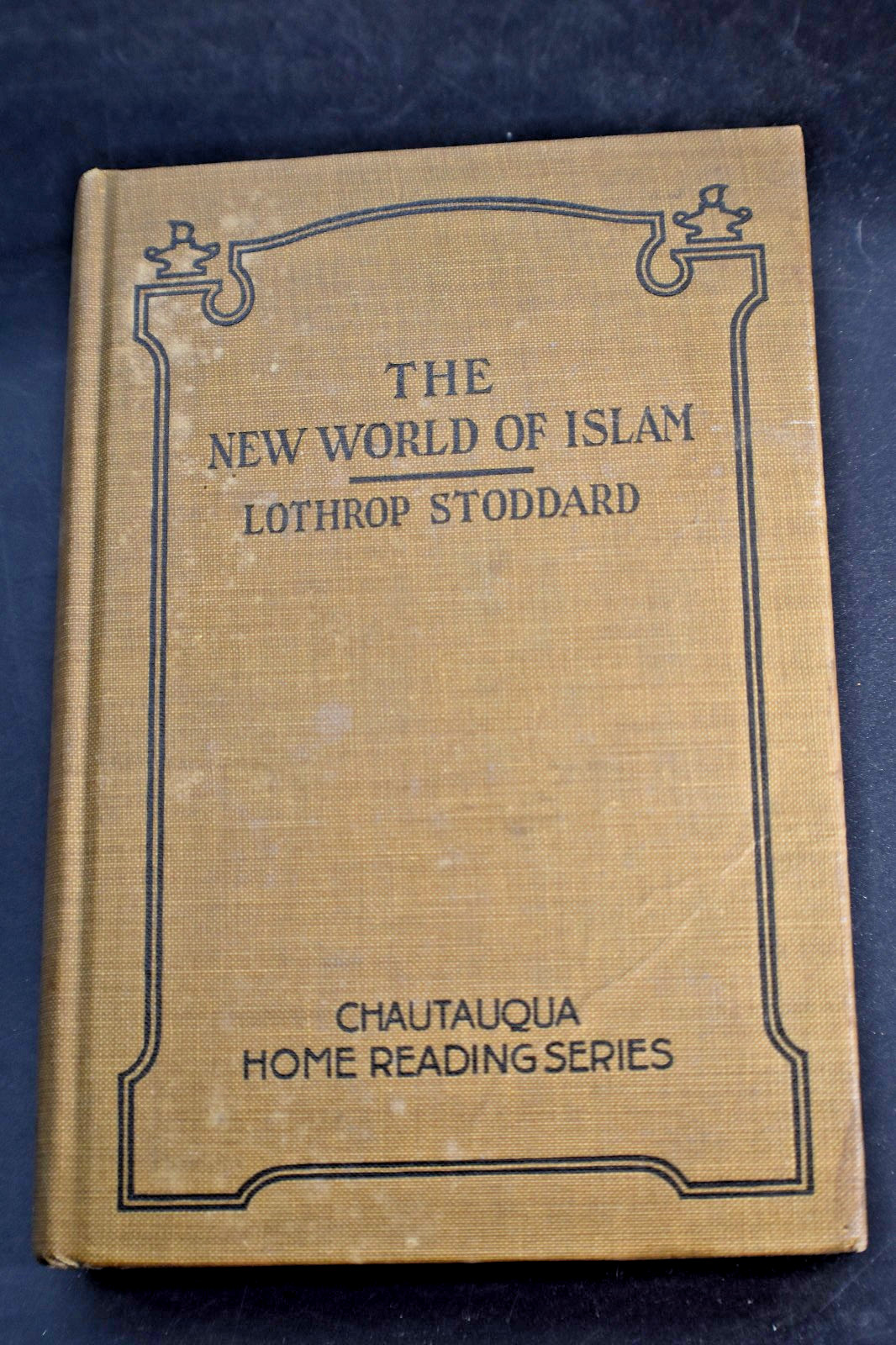 1922 The New World of Islam with Map by Lothrop Stoddard