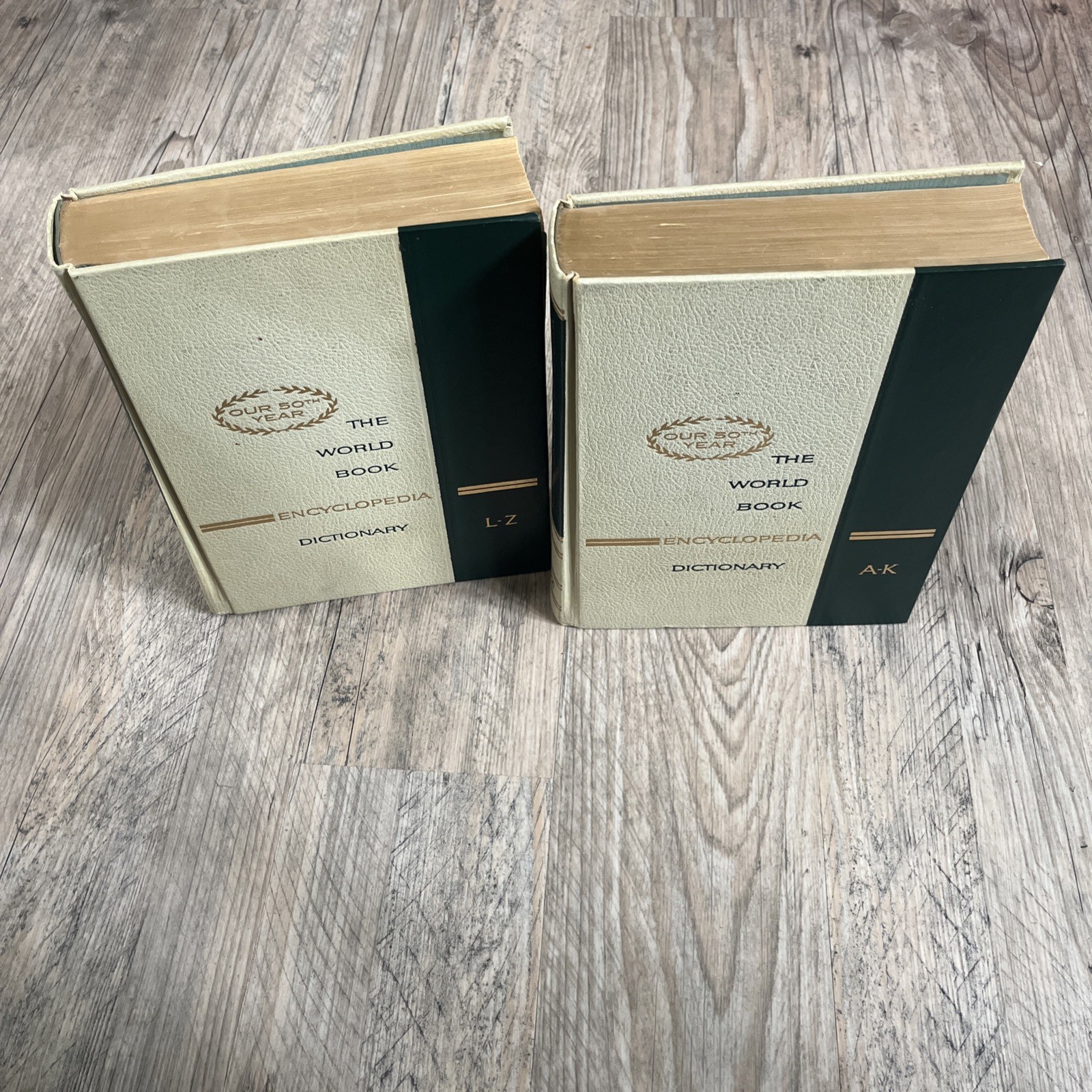 VTG 1966 World Book Encyc Dictionary Complete Set Volume 1 &2 Thorndike-Barnhart