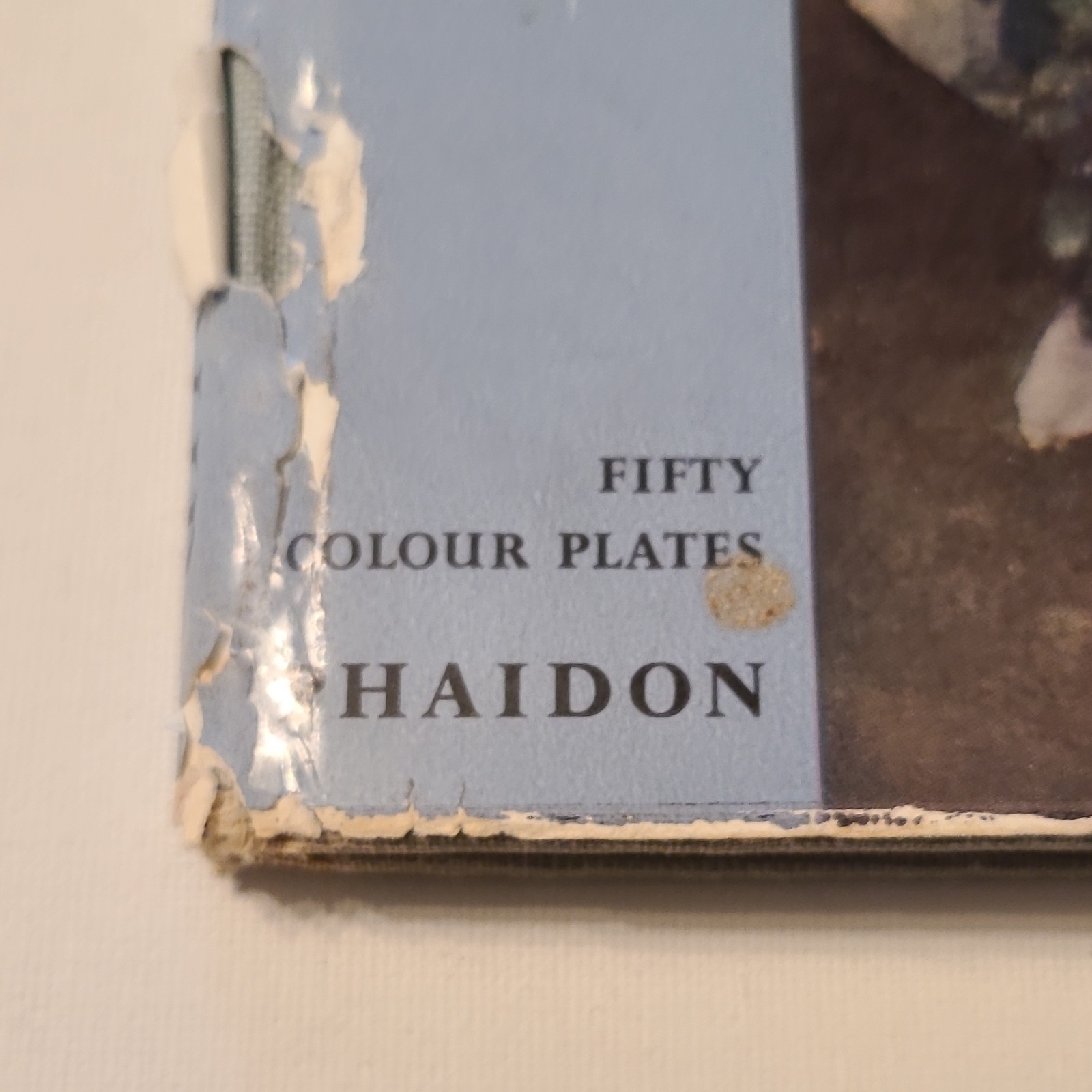 Vintage 50s Impressionists Phaidon Press 50 Colour Plates Art Book