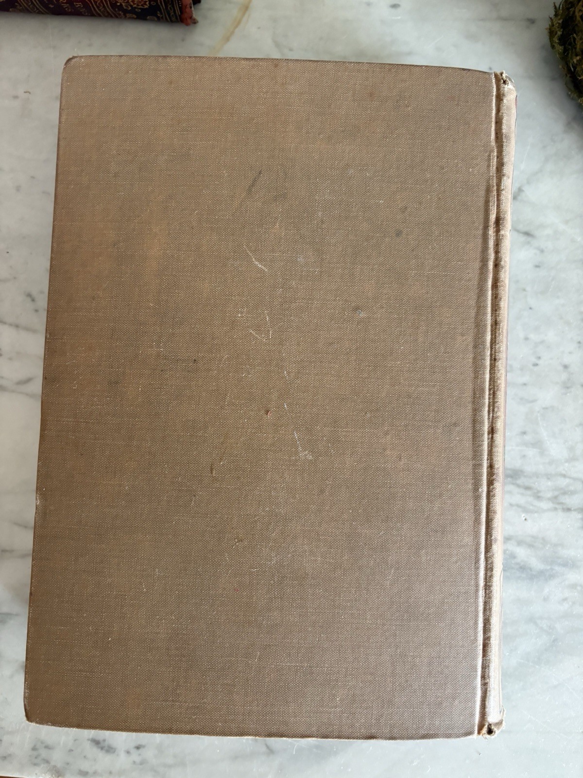 Antique Bilz Supplement-Band Interactive Anatomical Flap Book c1905–1912 Leipzig