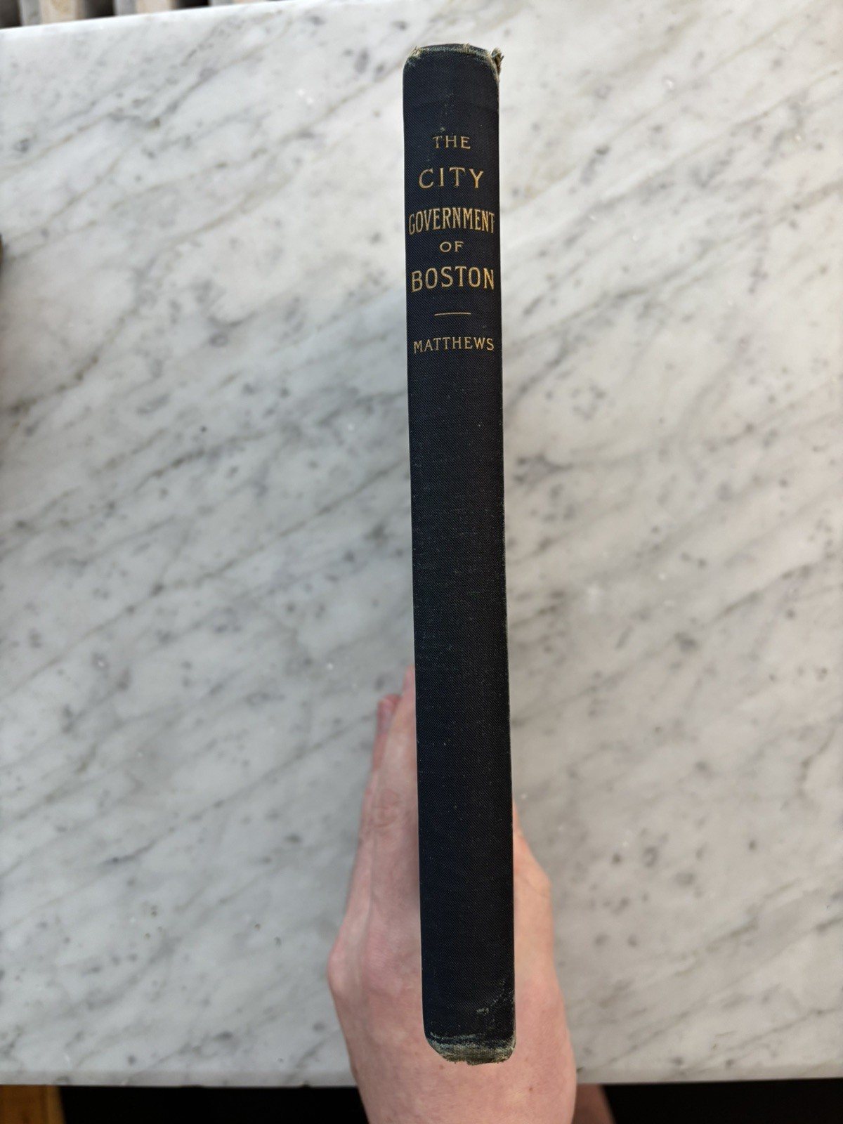 Nathan Matthews Jr / THE CITY GOVERNMENT OF BOSTON 1895 Massachusetts