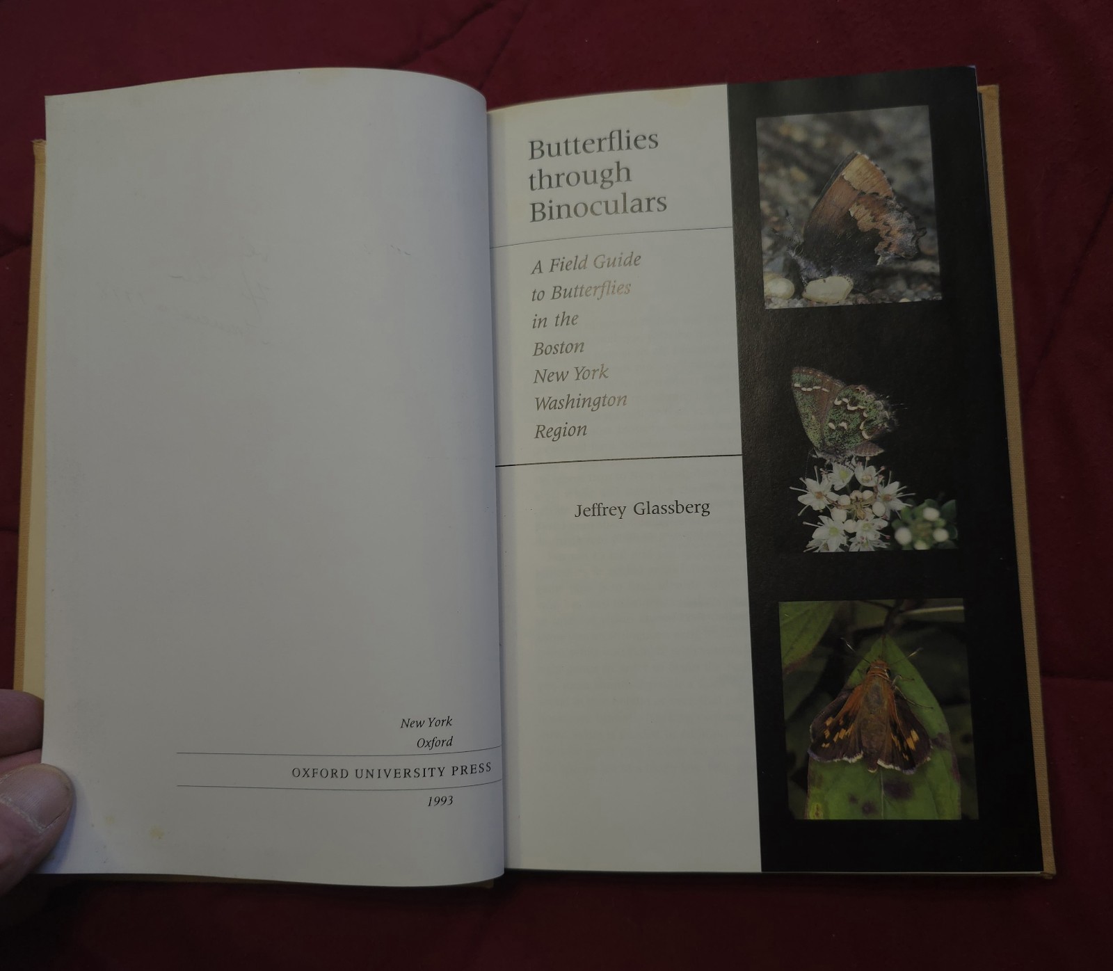 Rare “Butterflies through Binoculars” GREAT Field Guide Book!