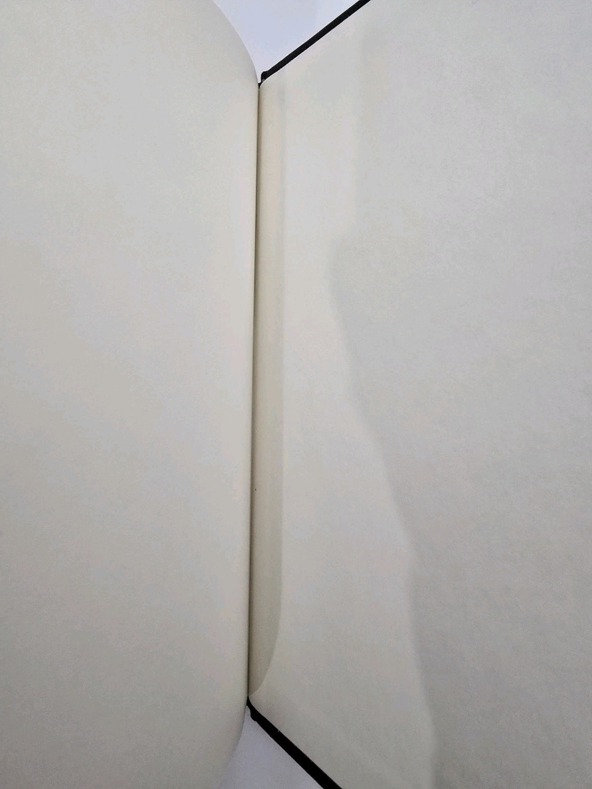 SIGNED~Paper Towns by John Green, 1st Edition, 1st Printing, HC DJ