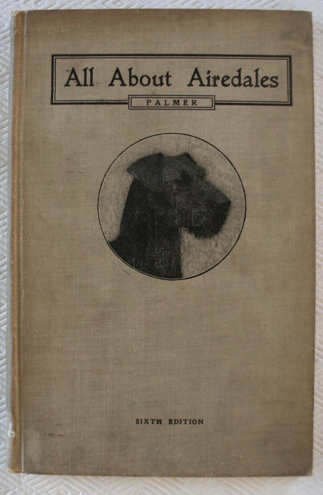 ALL ABOUT AIRDALES R M PALMER 3-A PUBLISHING CO 1916 SIXTH EDITION