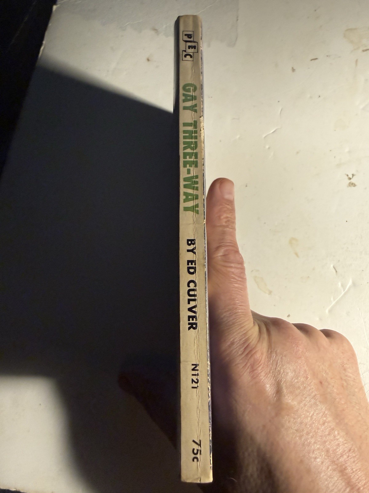 GAY THREE-WAY 1966 ED CULVER – PUBLISHERS EXPORT VINTAGE PULP NOVEL GAY INTEREST