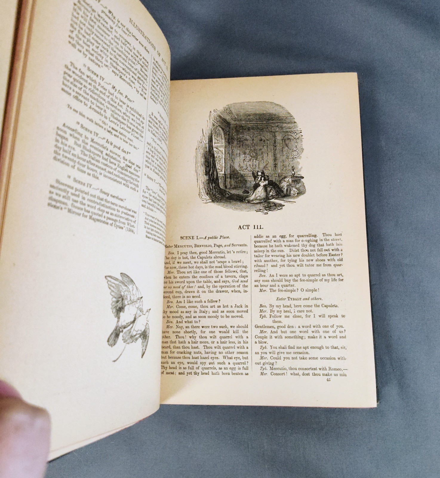1890s Pictorial Edition Works of Shakspere Antique Shakespeare Set Complete 8