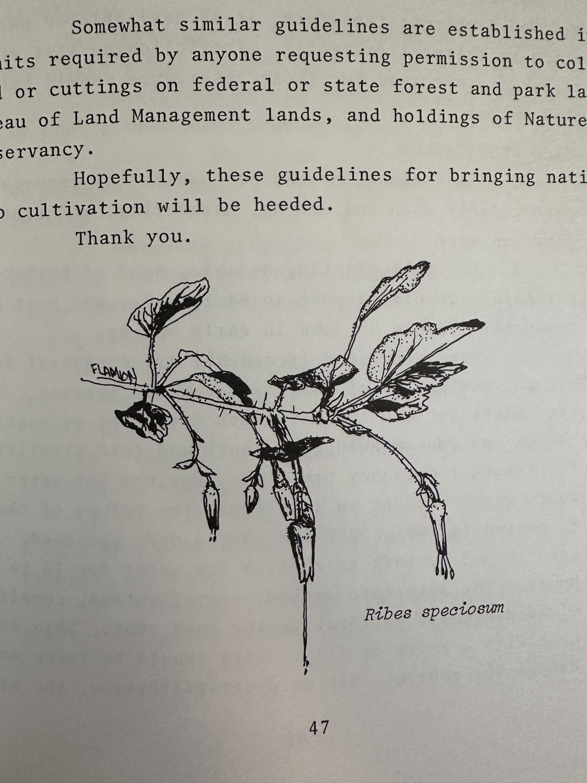 Native Plants A Viable Option 1977 California Society 3 Symposium Cal Poly CNPS
