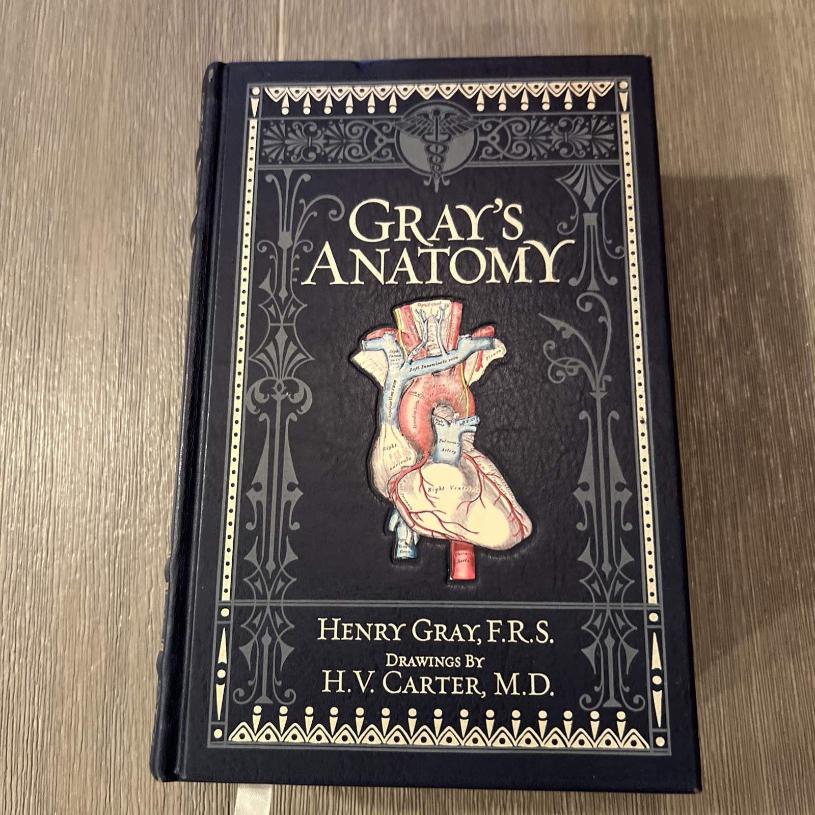 Gray’s Anatomy by Henry Gray, F.R.S. Barnes And noble Edition leather-bound