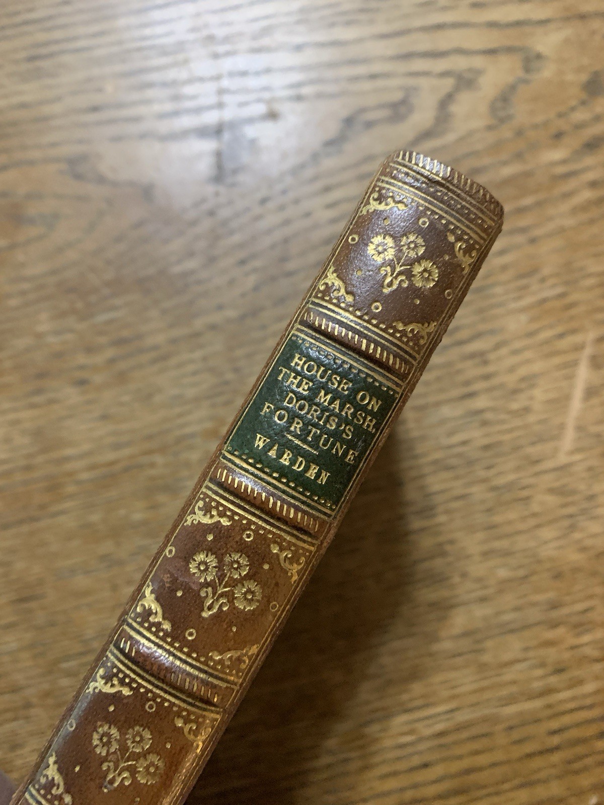 House On The Marsh & Doris’s Fortune by F. Warden 1860’s Victorian Fiction