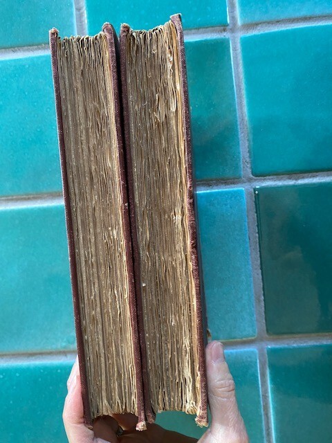 Memoirs of Prince Hohenlohe volumes I & II Heinemann HCs hardcover 1906