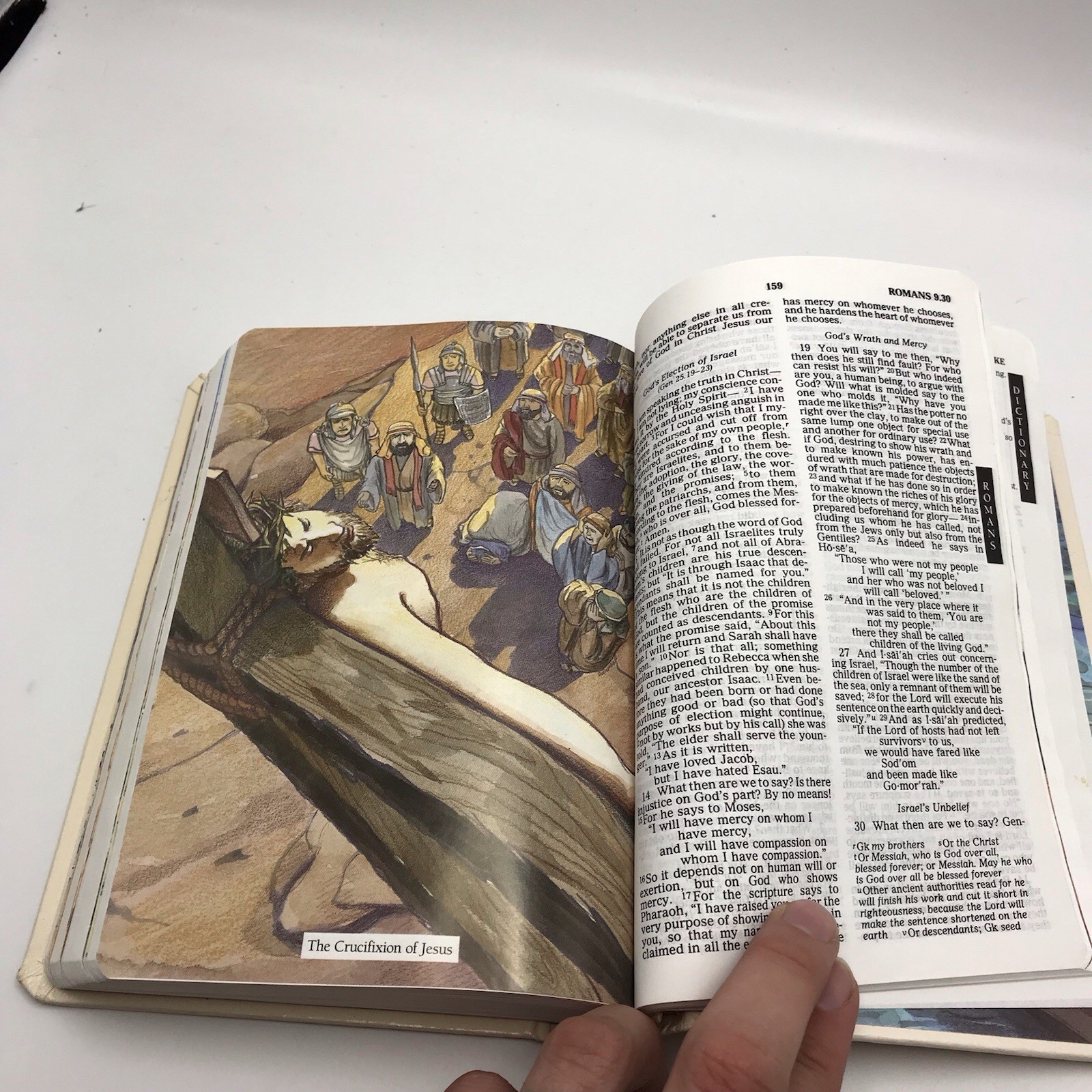 Children’s Bible NRSV Illustrated Red Letter Cokesbury Hardcover 1990