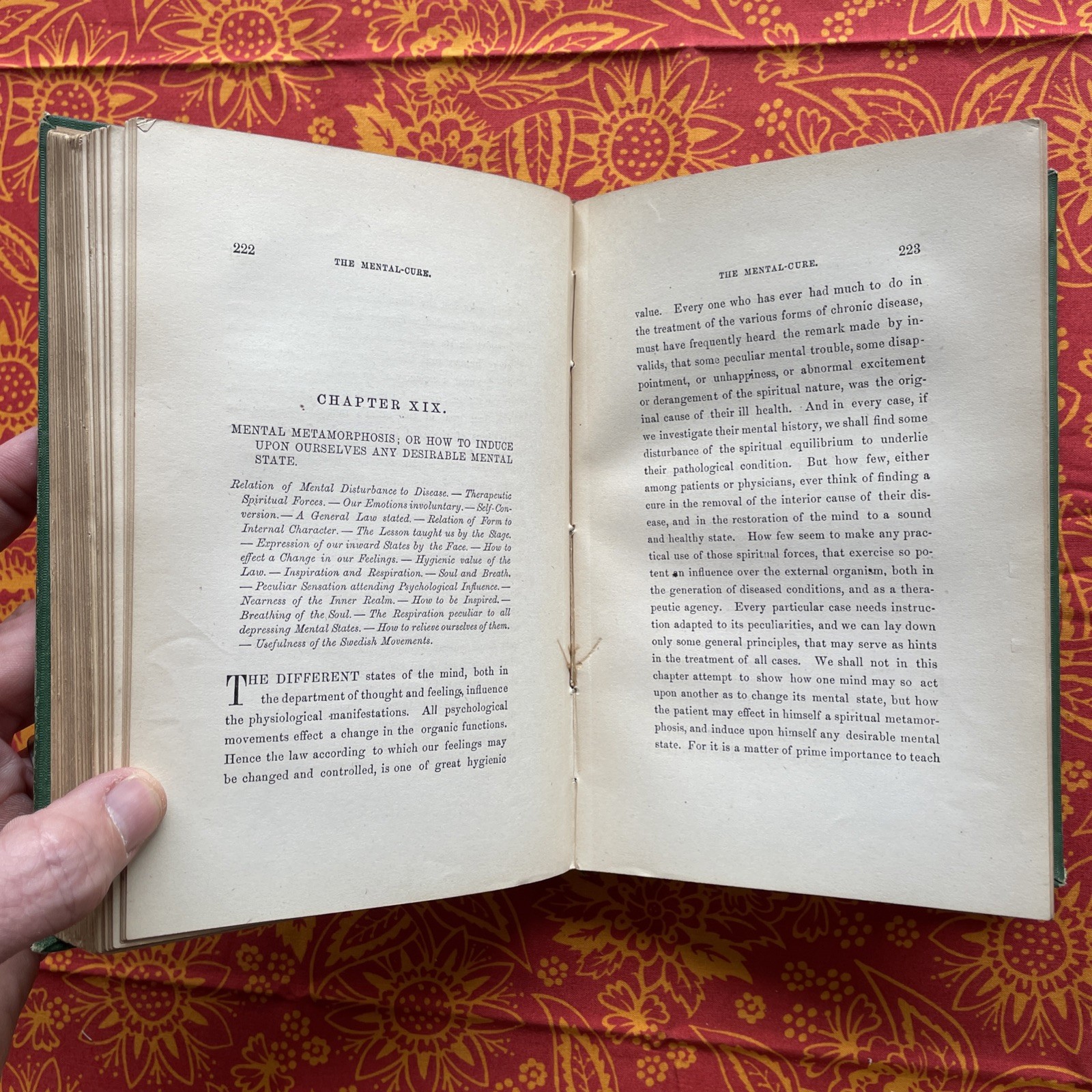 The Mental Cure Illustrating the Influence of the Mind on the Body by W.F. Evans