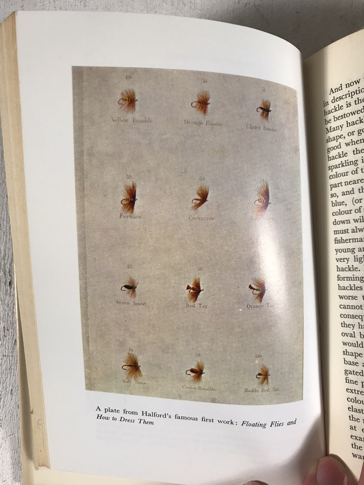 English Trout Flies A Reference Book by W.H. Lawrie Fly Fishing Outdoor Sports