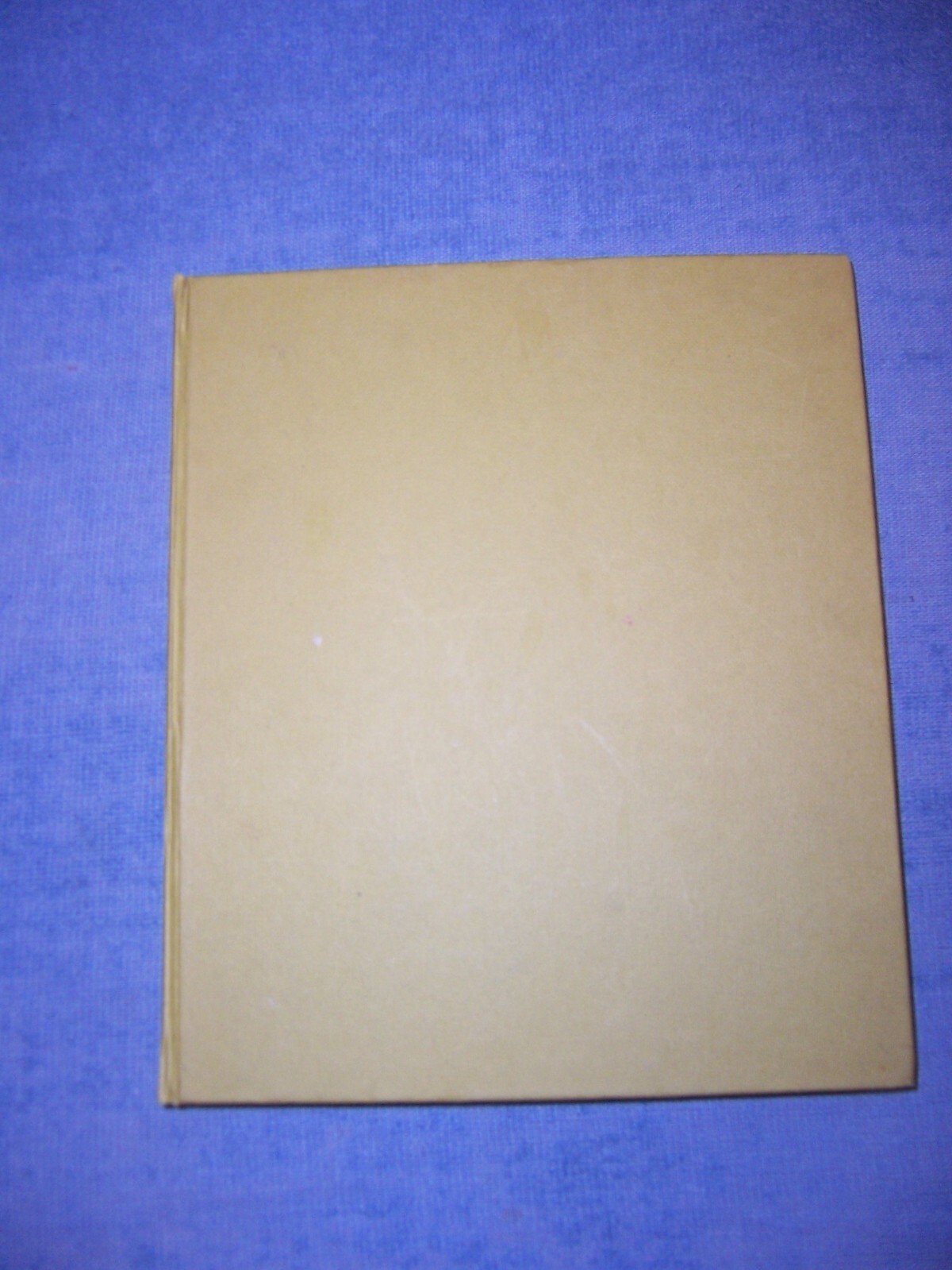 FIGHTER! by Werner Held/1st Ed/HC/Foreign Military/WW II/1939-45