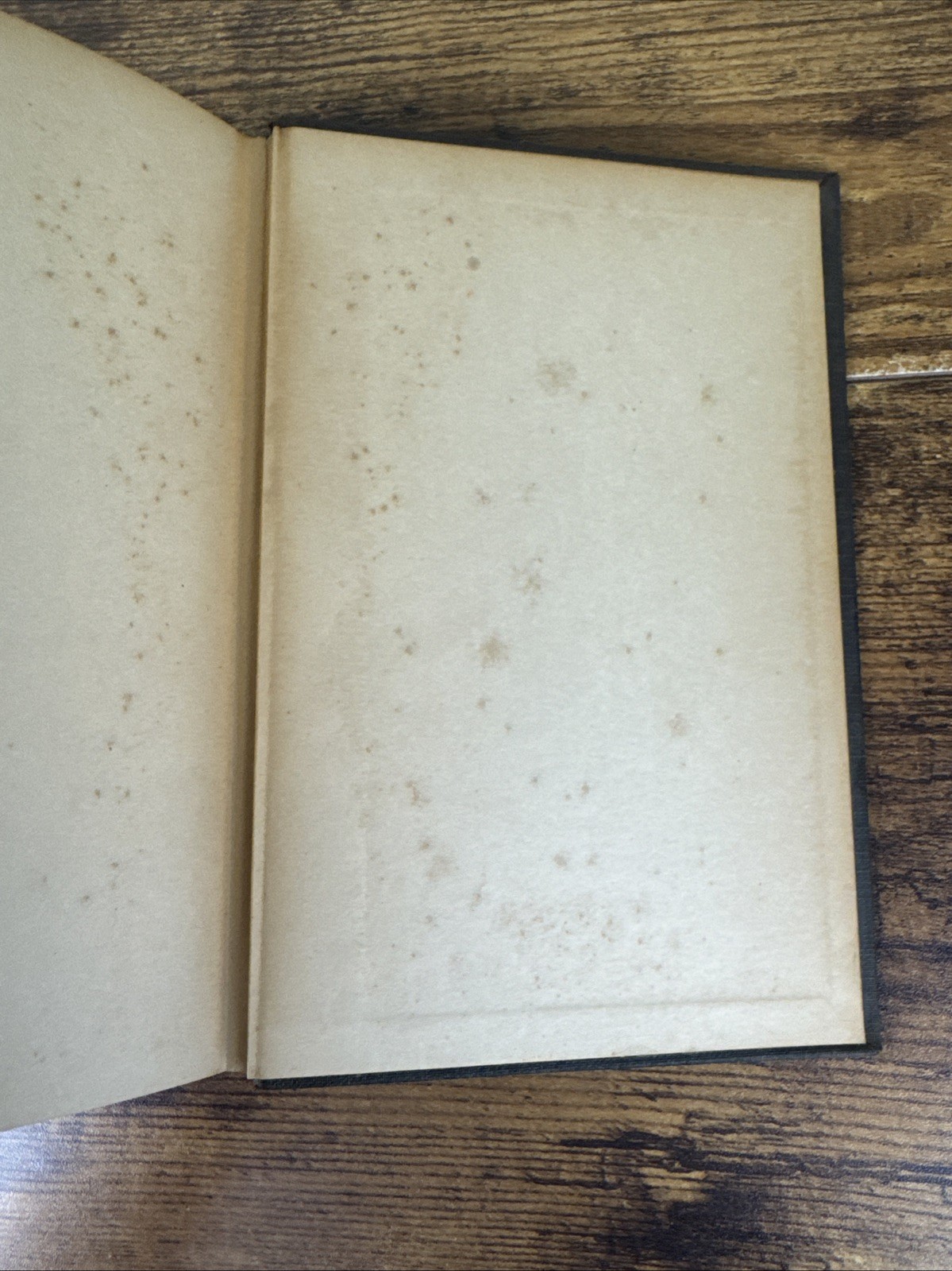 The Crushed Flower First American Edition Leonid Andreyev 1921 Third Printing