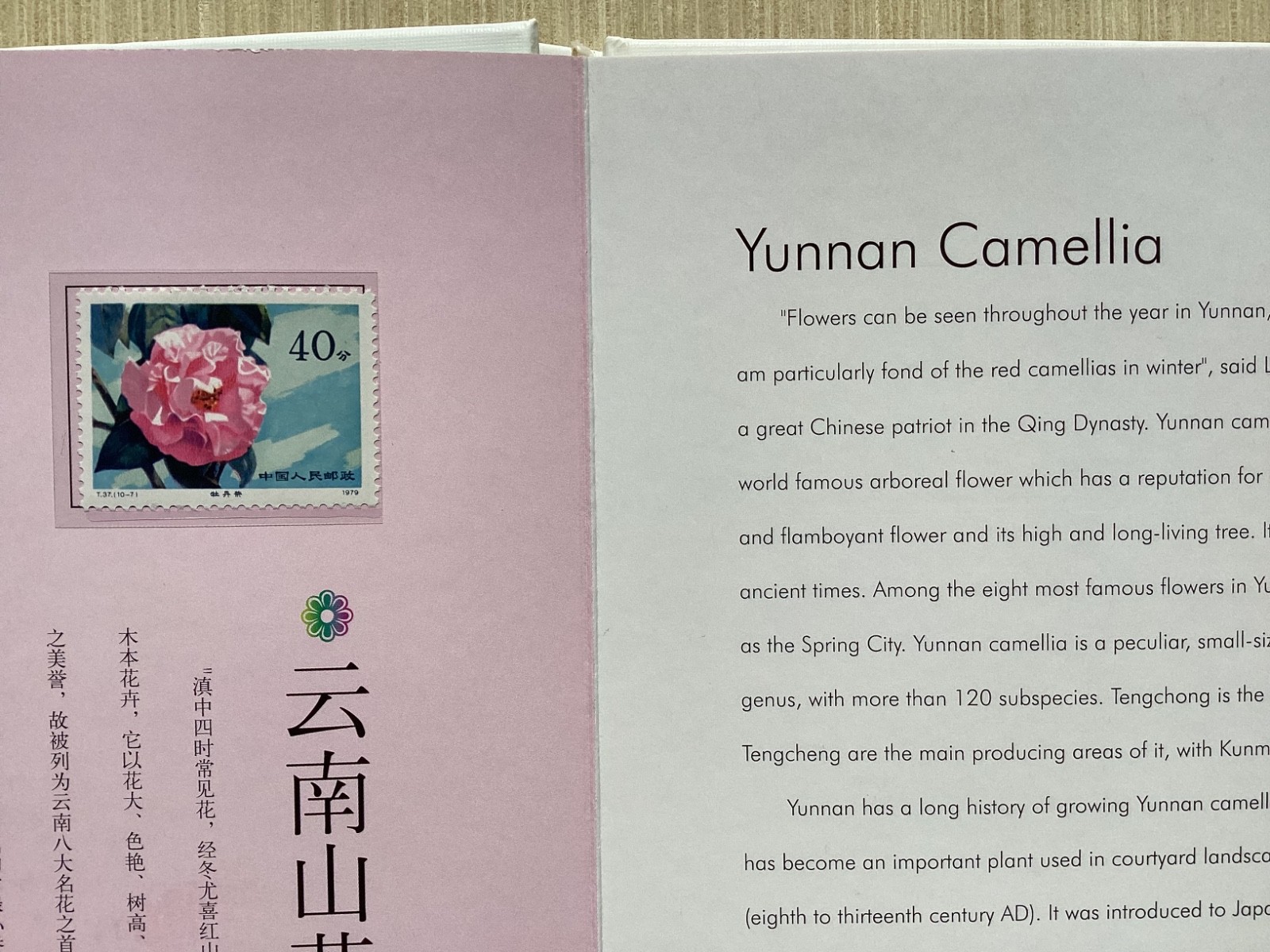 Blooming Flowers in Yunnan with MNH stamps China camellias etc in clamshell box