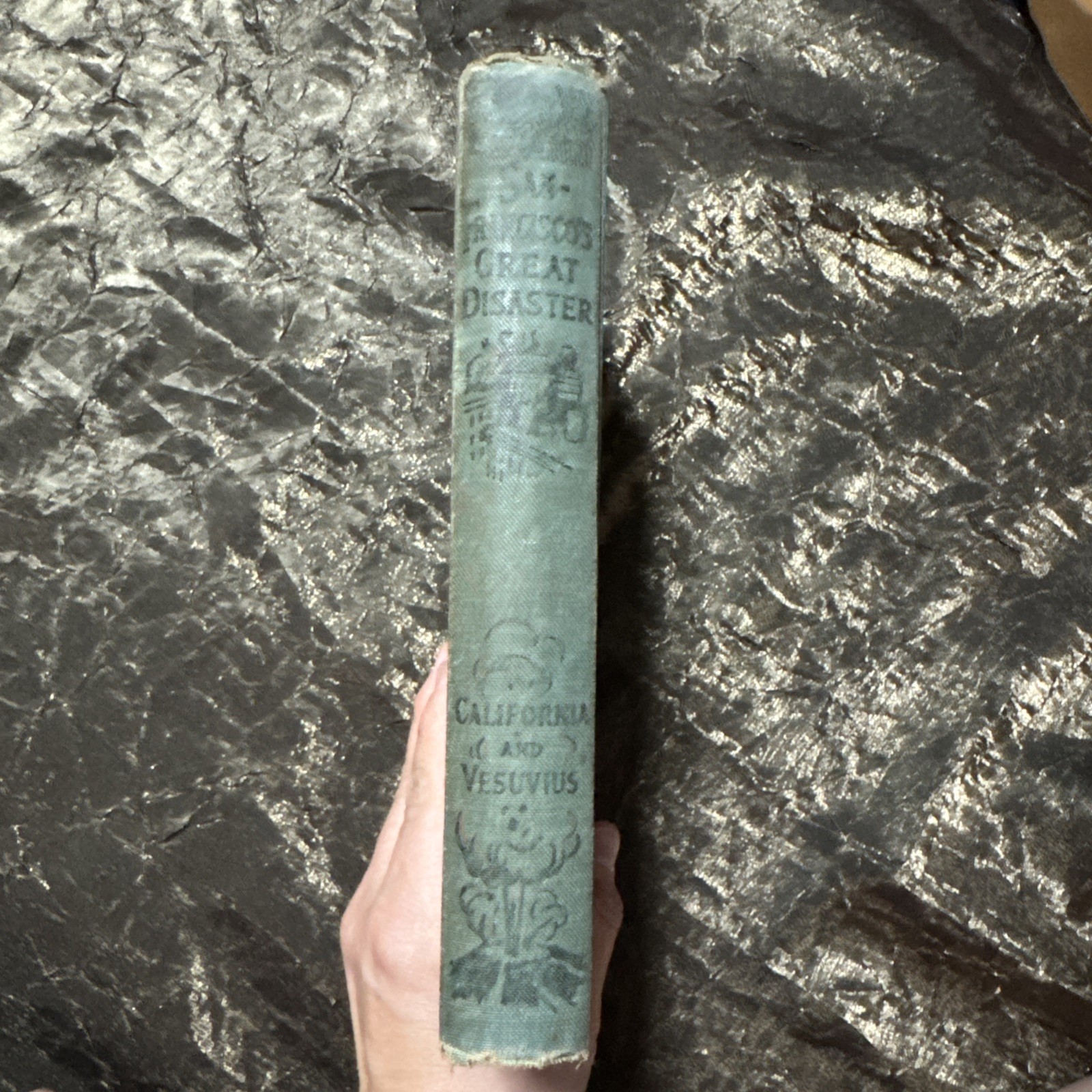 SAN FRANCISCO’S GREAT DISASTER 1906 EARTHQUAKE PICTORIAL BOOK SYDNEY TYLER