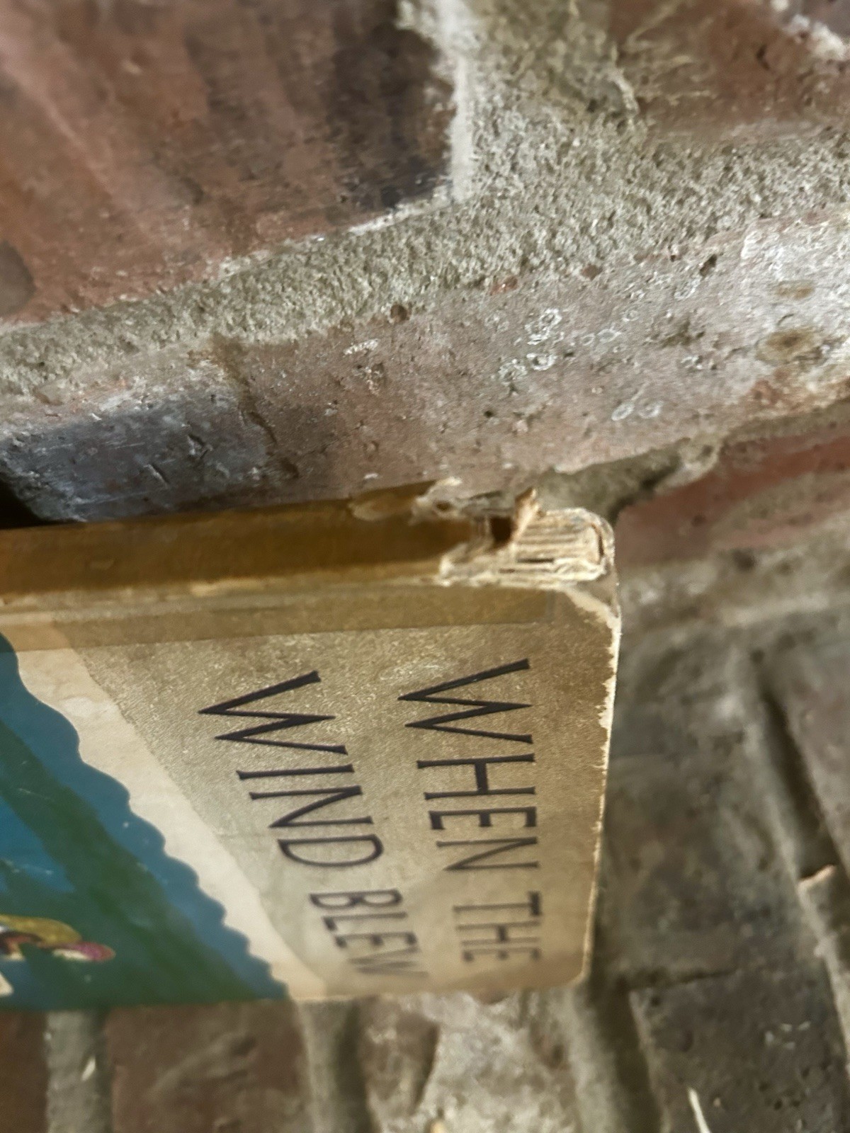 WHEN THE WIND BLEW Brown, Margaret Wise 1937 First Edition First Printing