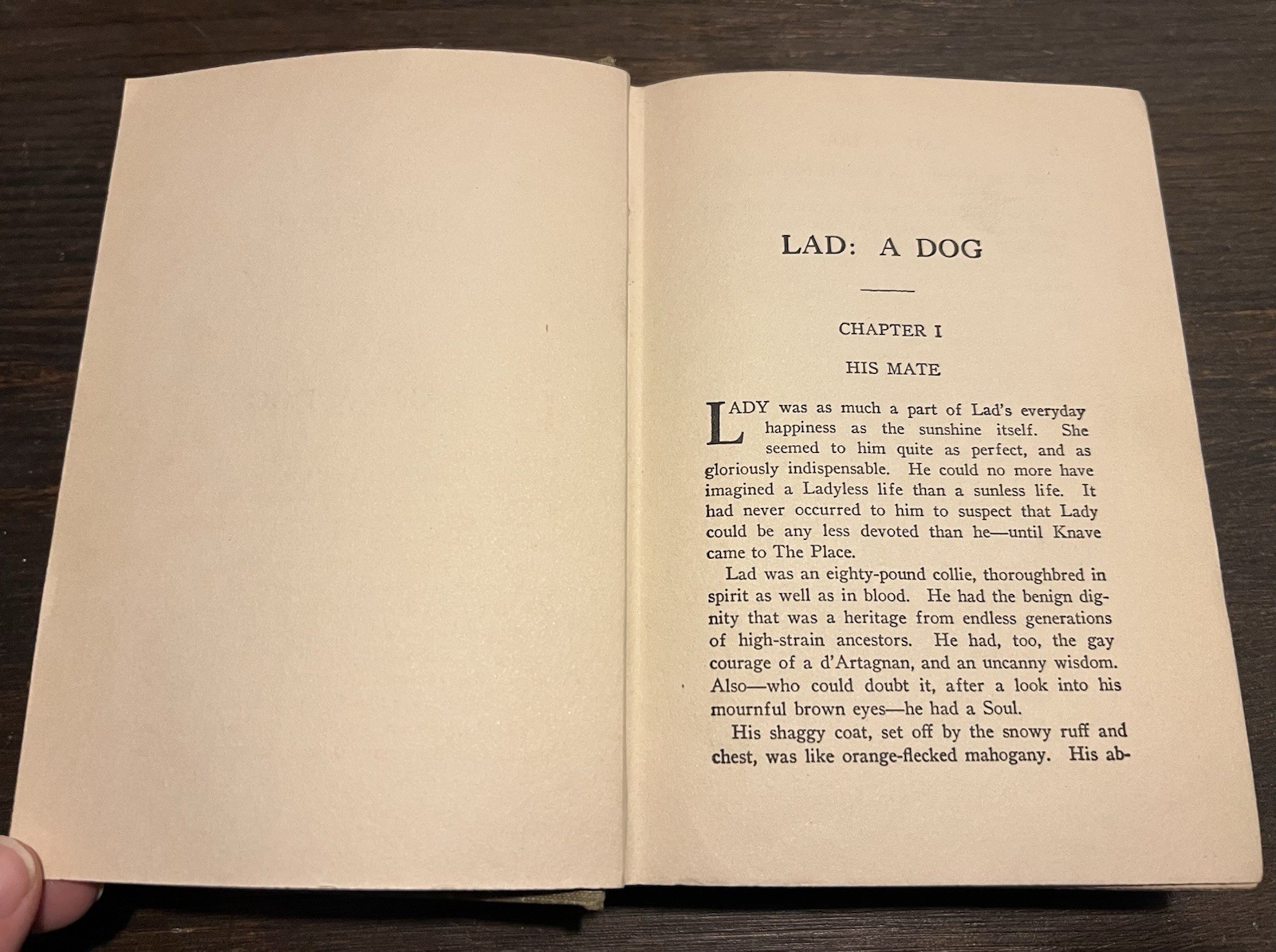1919 Lad: A Dog by Albert Payson Terhune E P Dutton New York 1st / 28th Printing