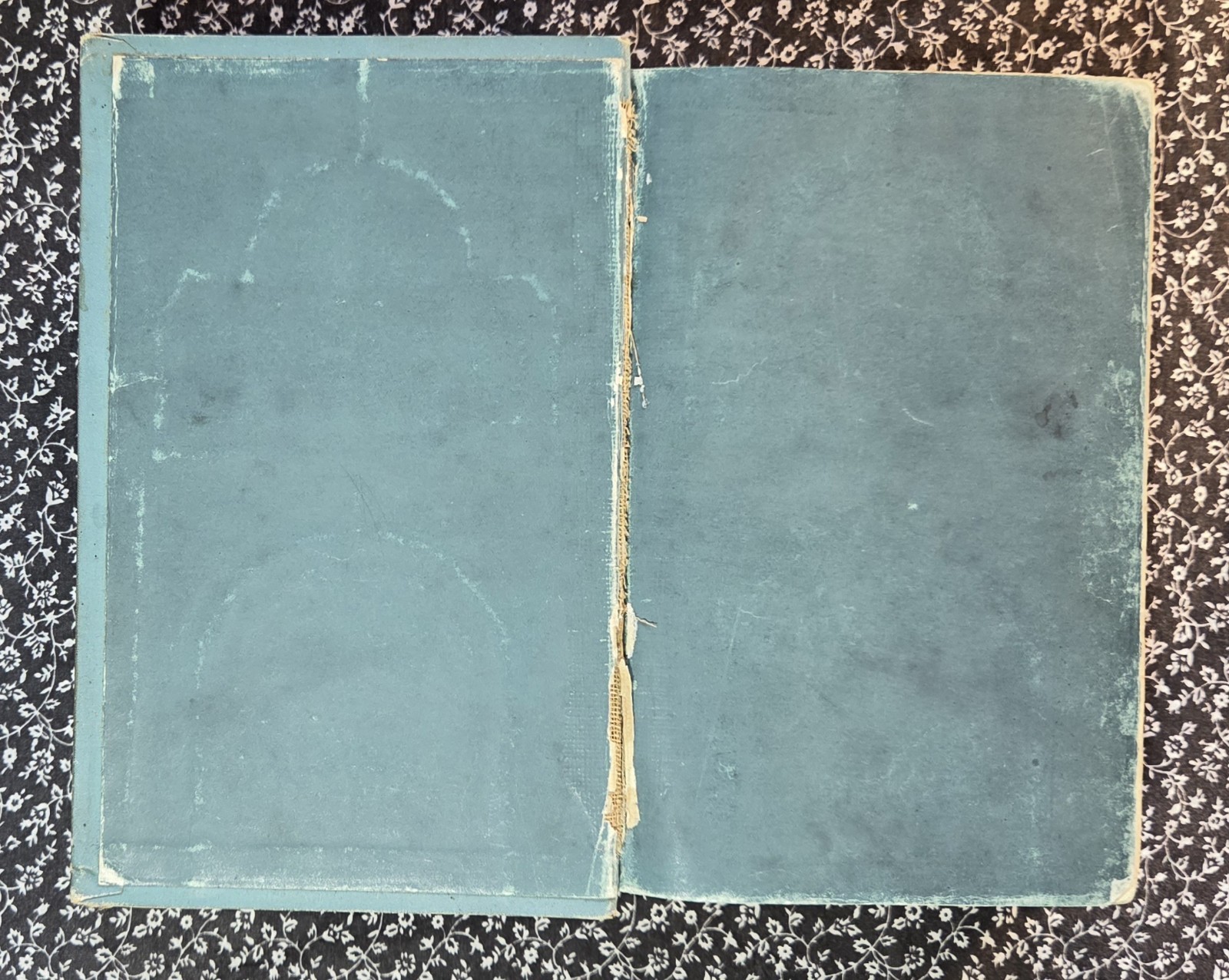 Walks With Jesus Or Days Of The Son Of Man By Daniel March, 1889, HC
