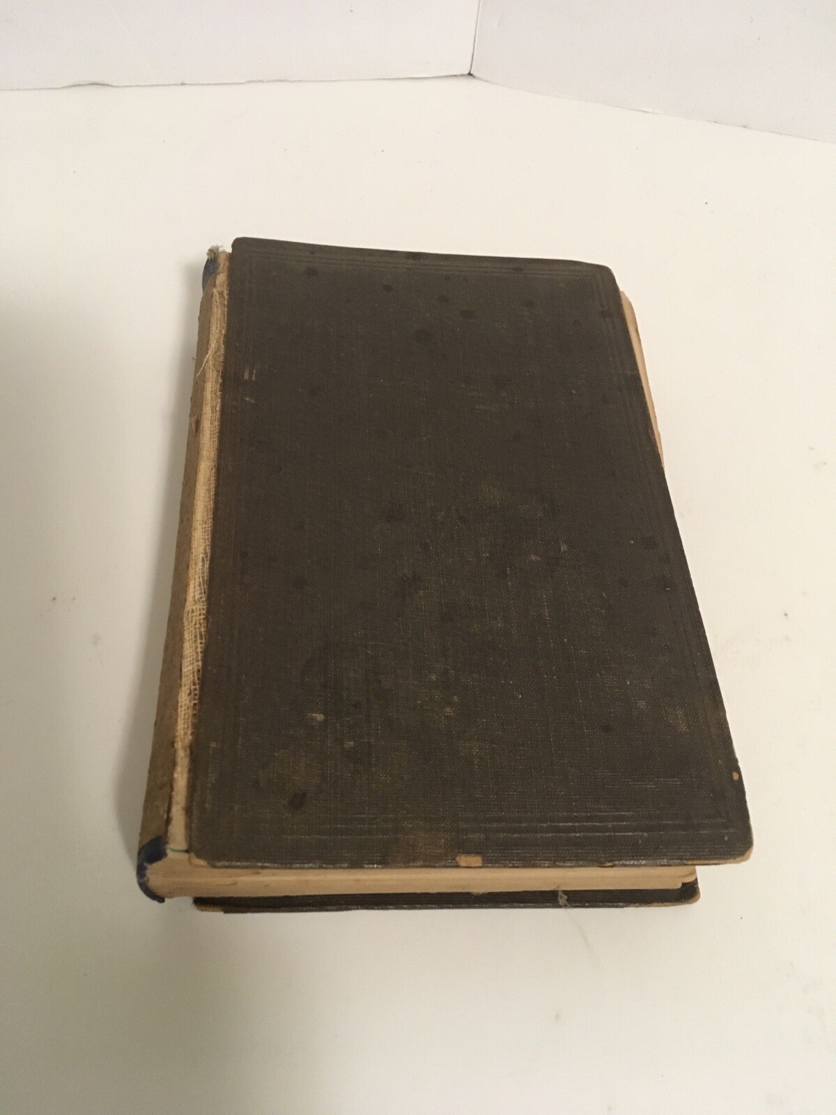 RARE Text-Book on Campbellism by D.B. Ray 6th Edition 1873 RARE