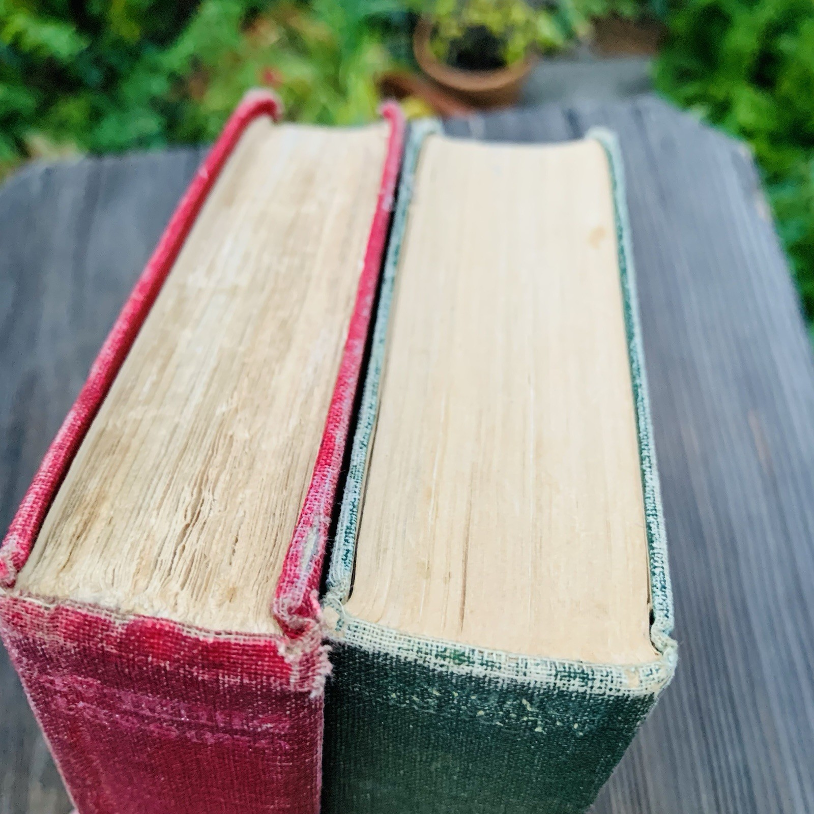 Early 1900s Shabby Antique Books Romance Novels Harold Bell Wright Red and Green
