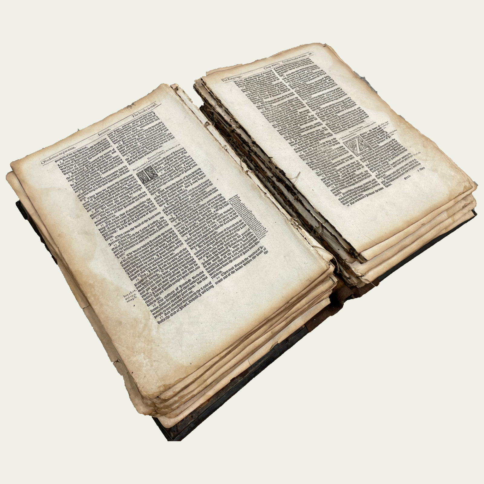 1595 Bishops‘ Bible Page – An Old Testament Leaf – Select Your Passage