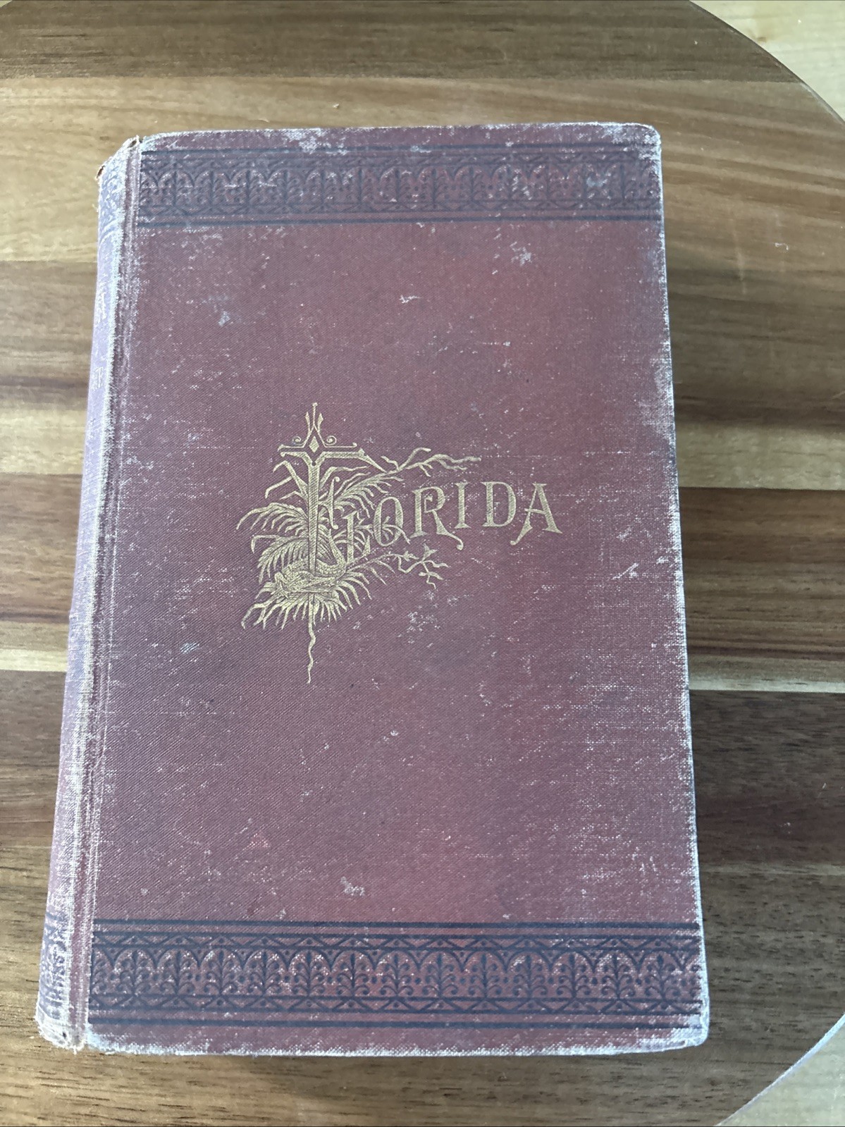 antique book “ Florida: Its Scenery, Climate & History By Sidney Lanier 1876.