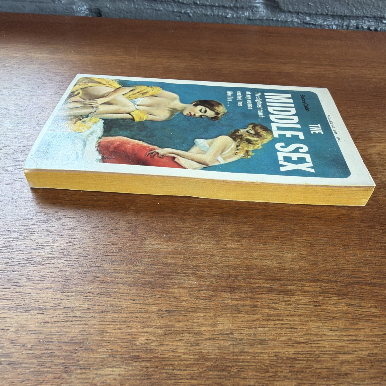 The Middle Sex Stacey Clubb 1970 Vintage LGBT Pulp Paperback